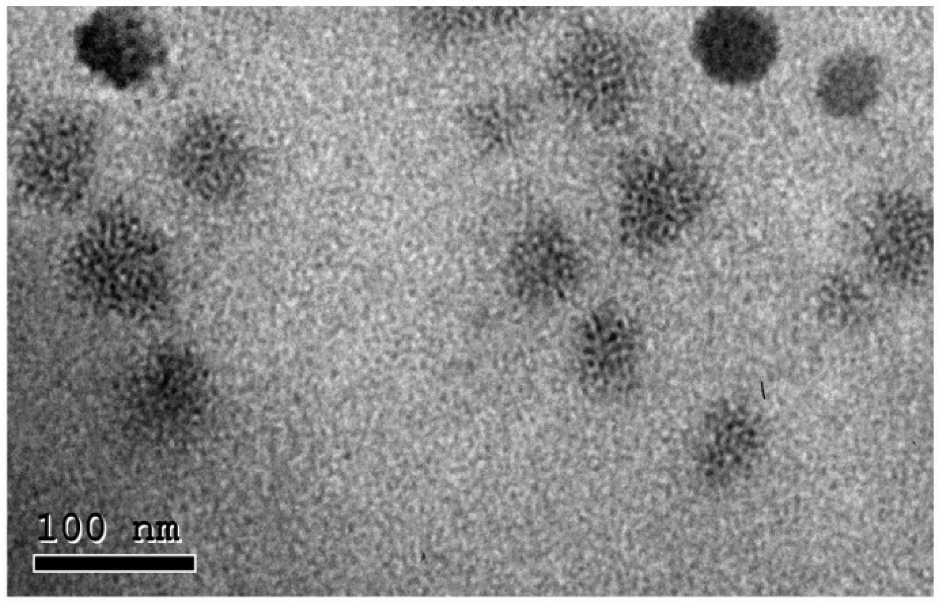 Scipharm 91 00001 g005