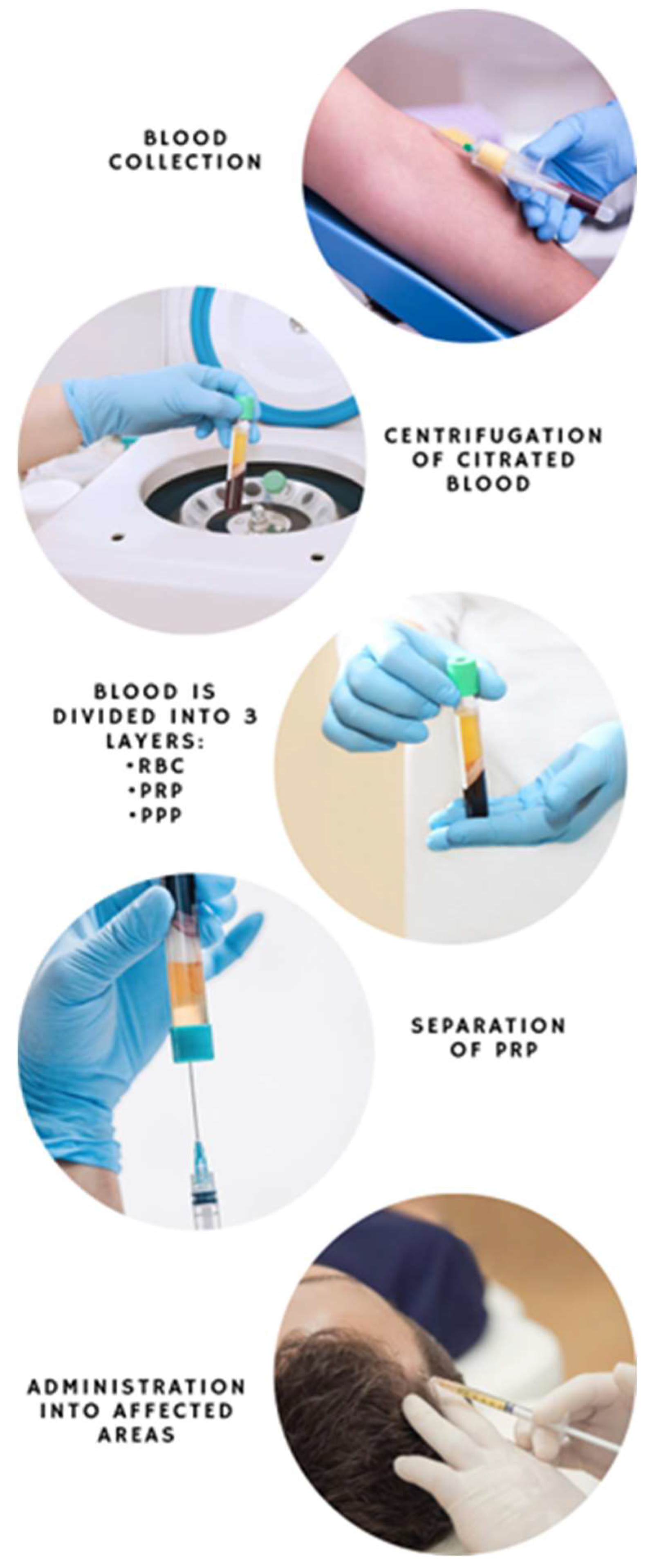 Scipharm 91 00004 g002