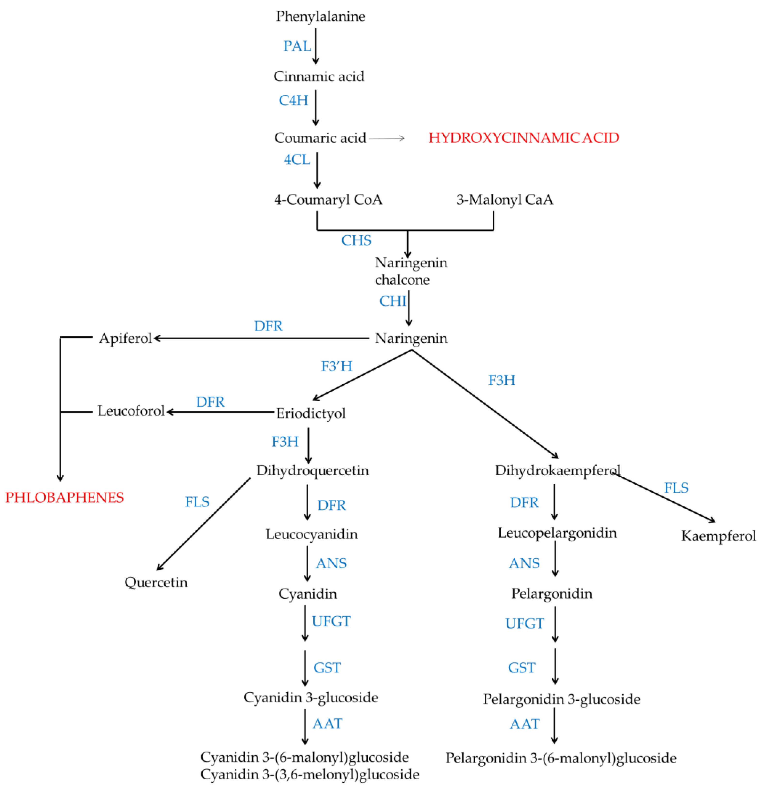 Scipharm 91 00006 g002