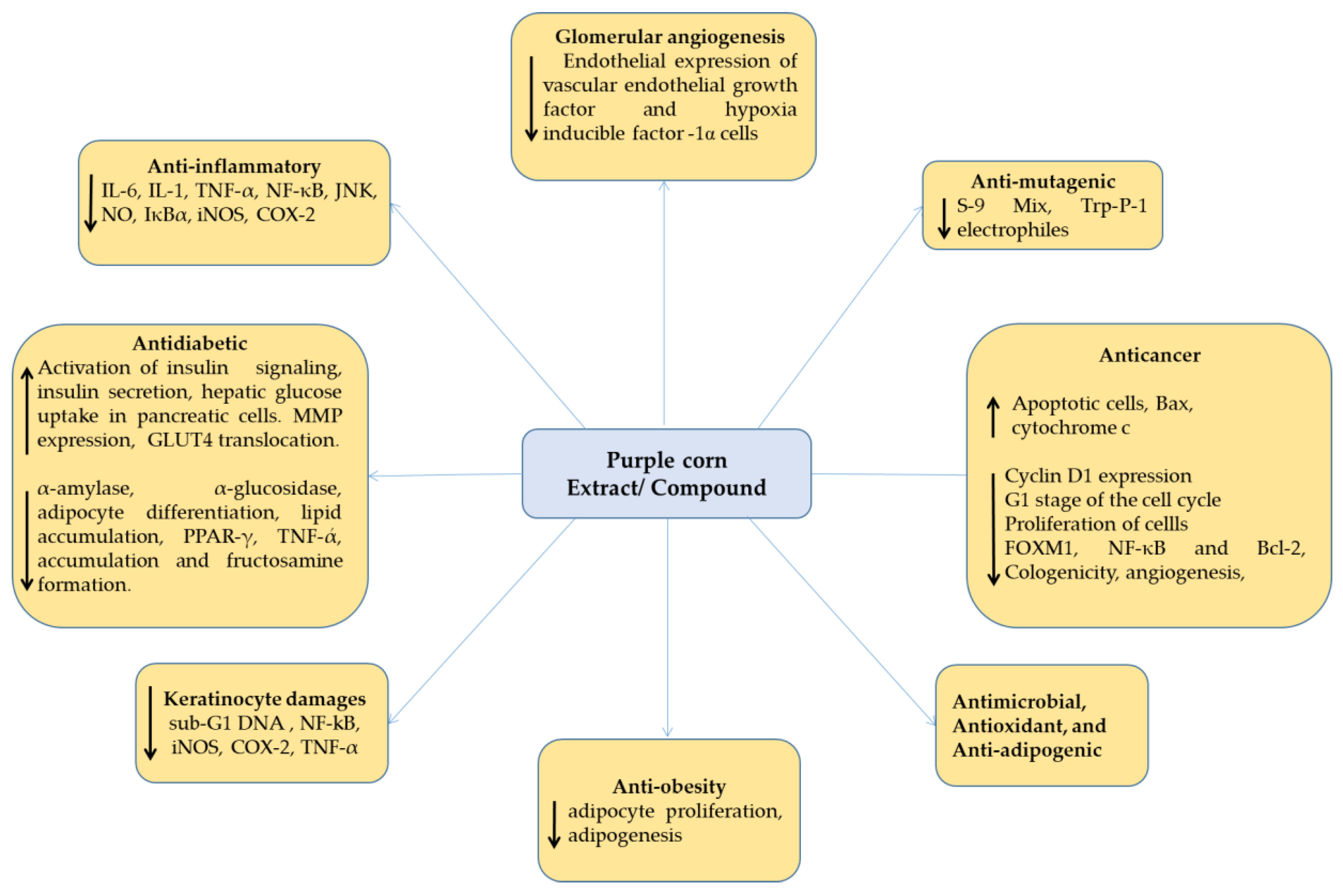 Scipharm 91 00006 g003