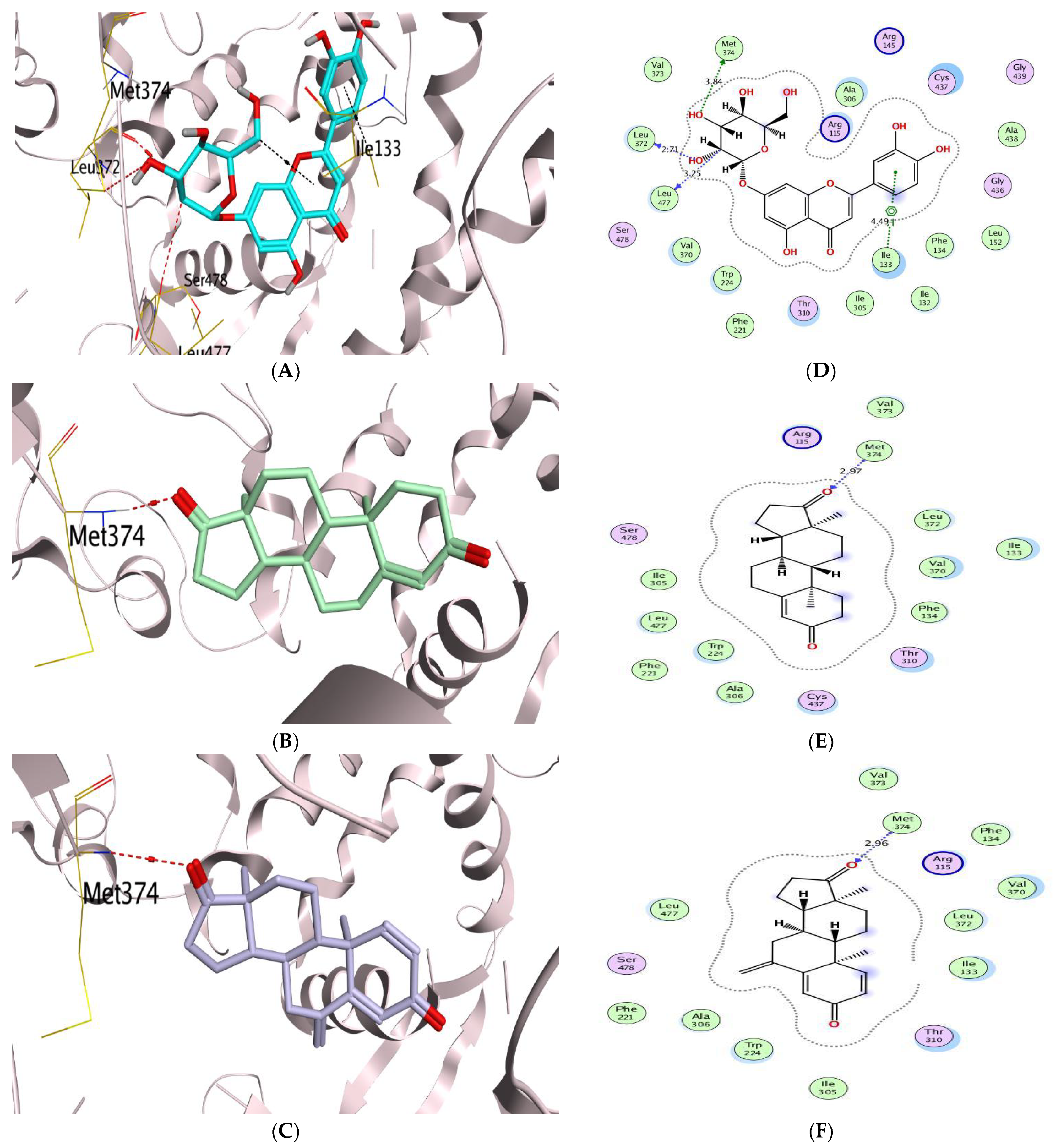 Scipharm 91 00007 g002