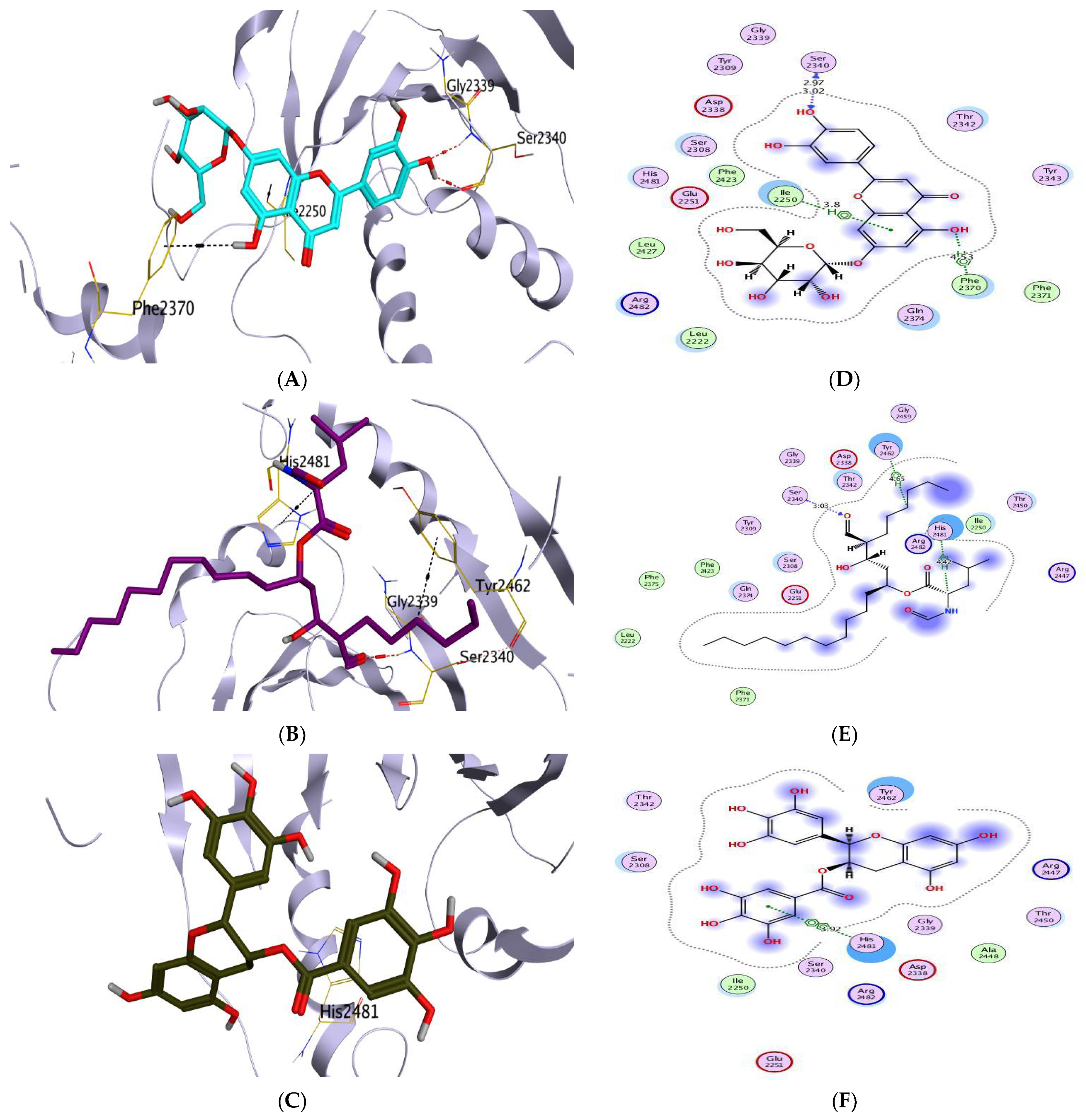 Scipharm 91 00007 g004