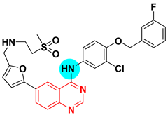 Scipharm 91 00018 i008 Scipharm 91 00018 i008