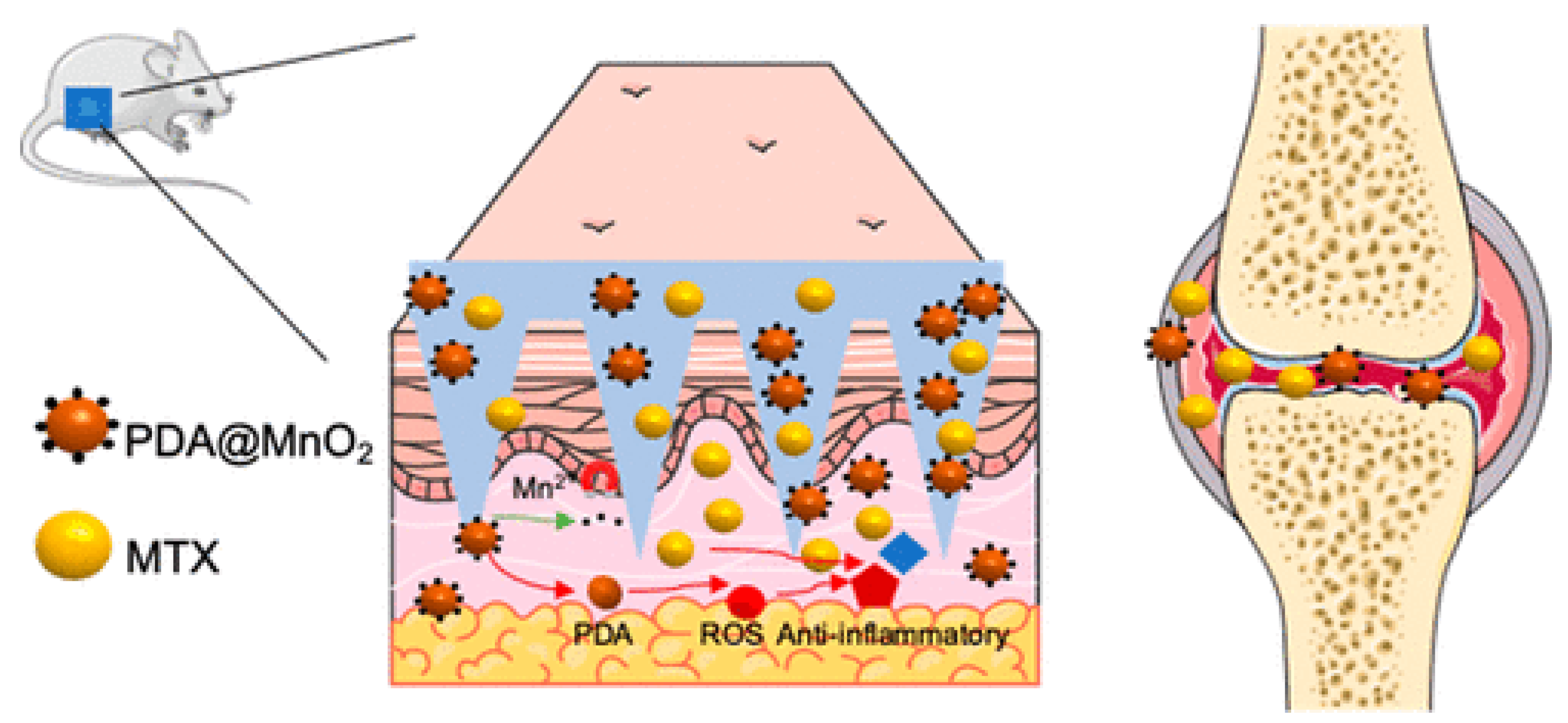 Scipharm 91 00027 g007