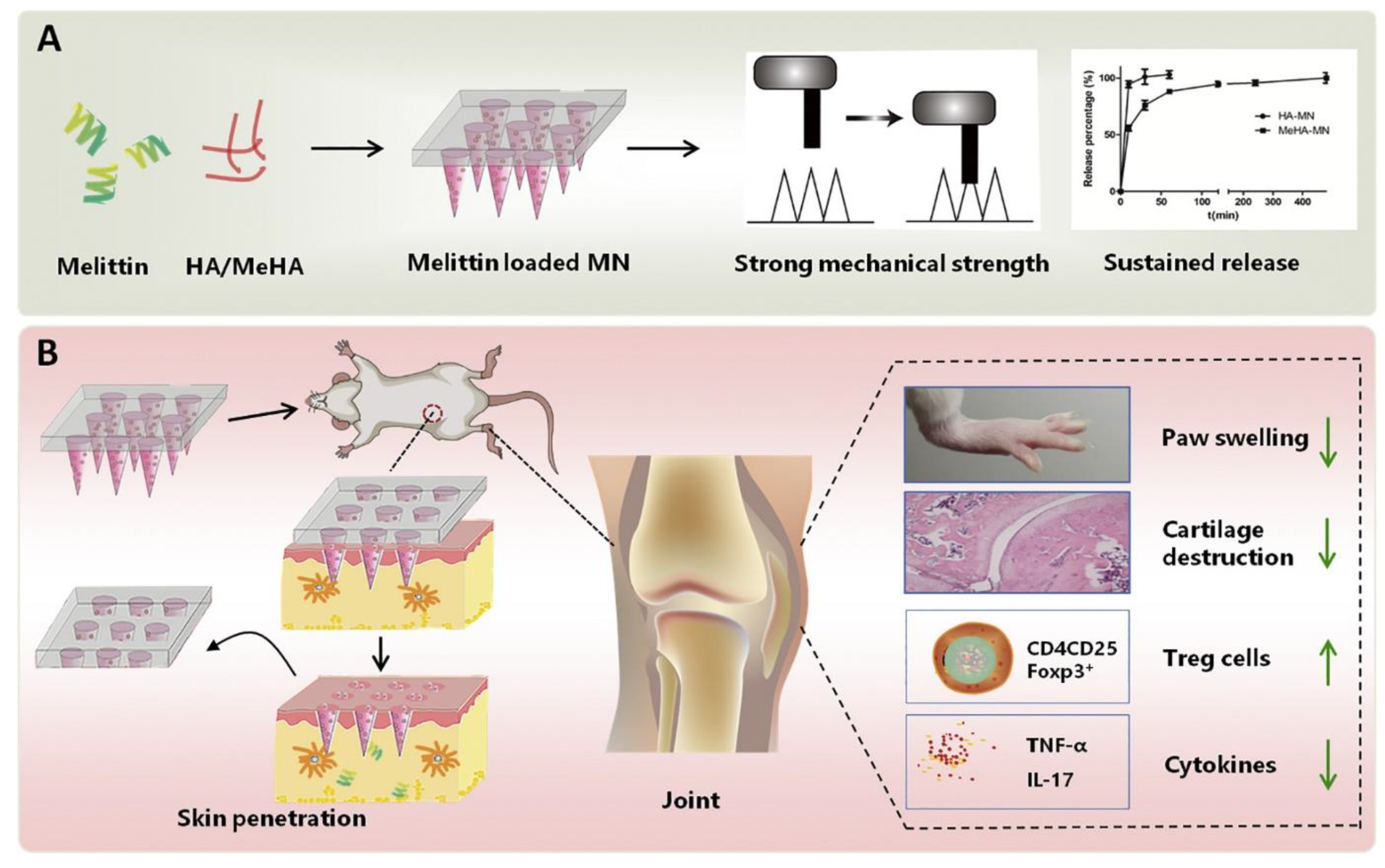 Scipharm 91 00027 g008