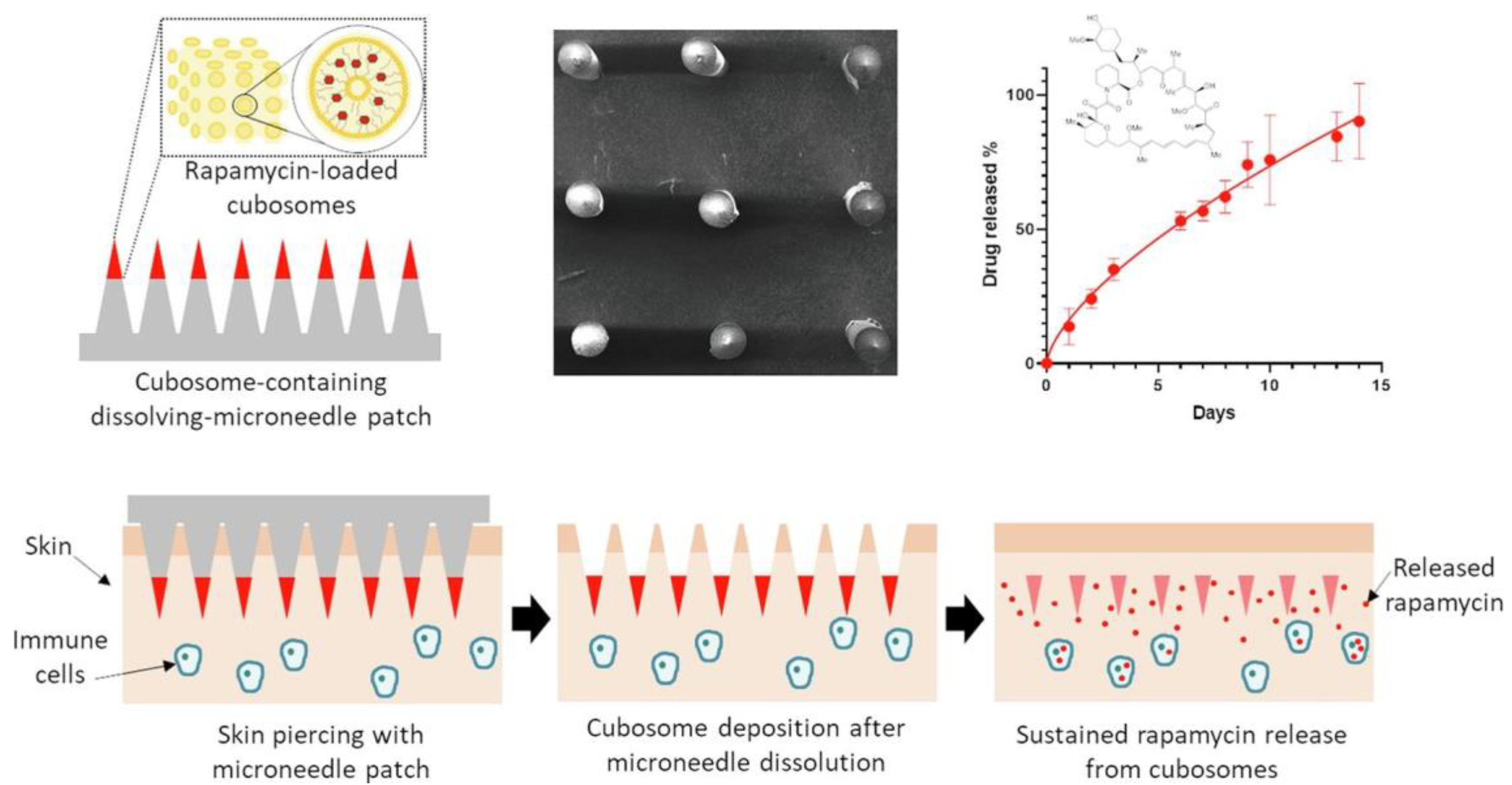 Scipharm 91 00027 g009