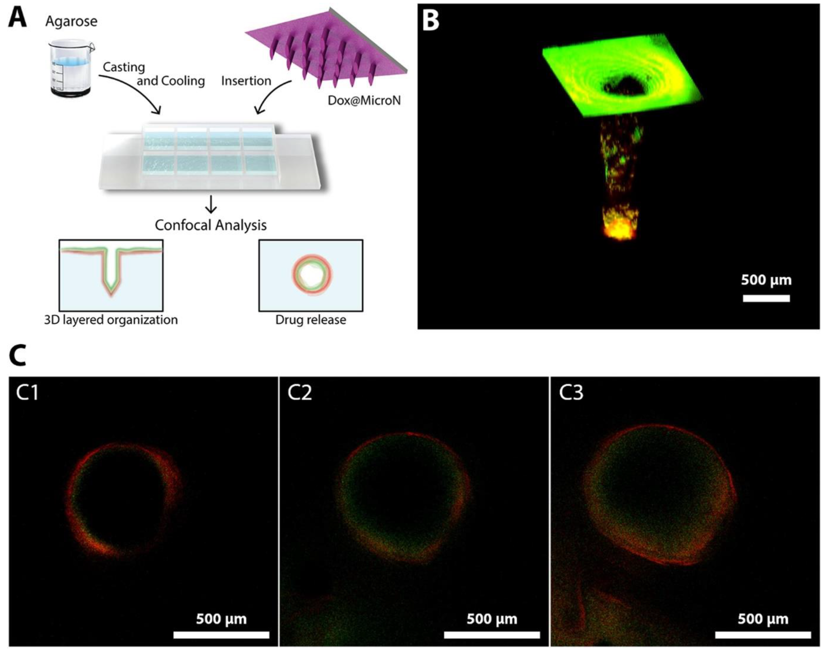 Scipharm 91 00027 g011