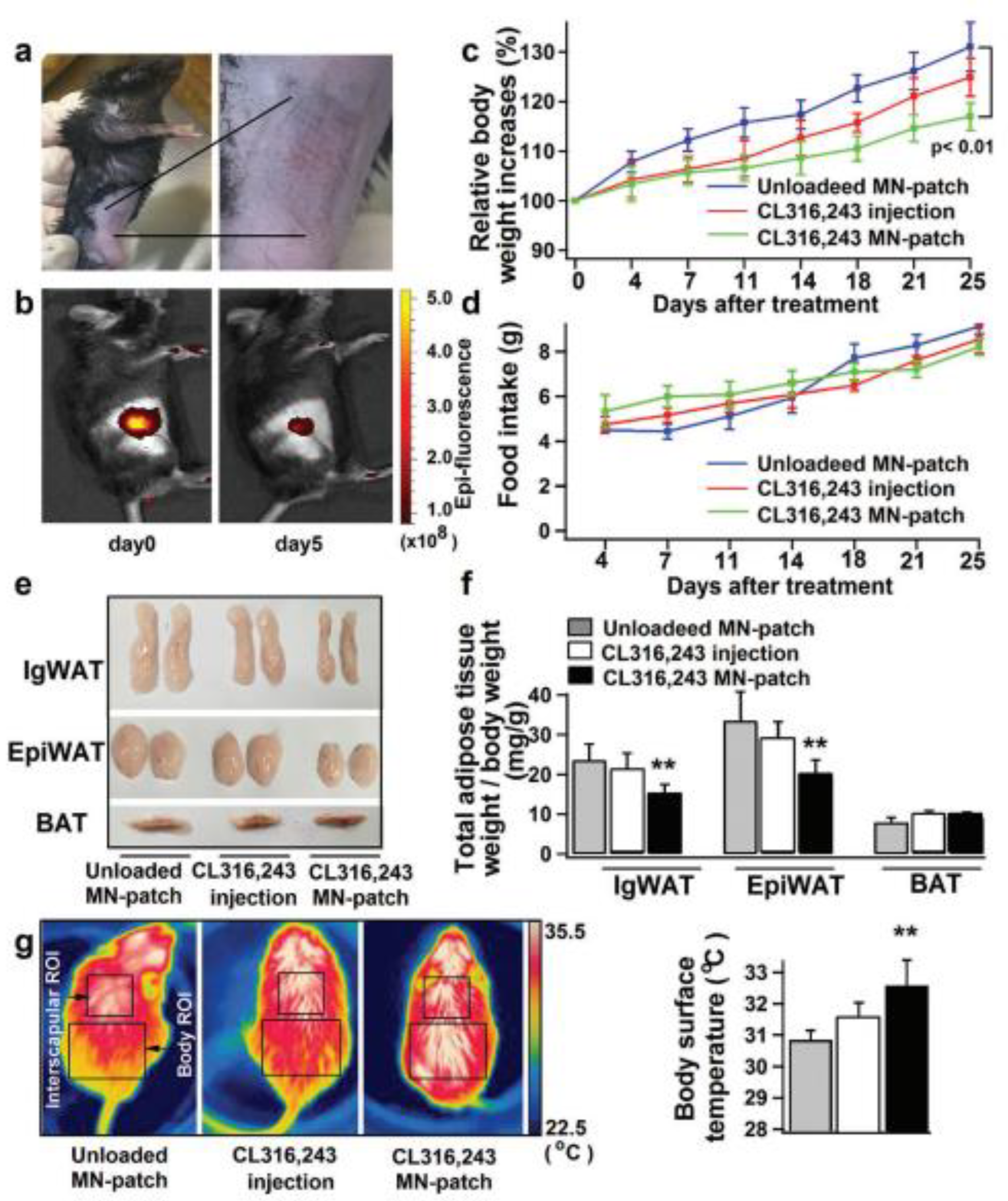 Scipharm 91 00027 g012