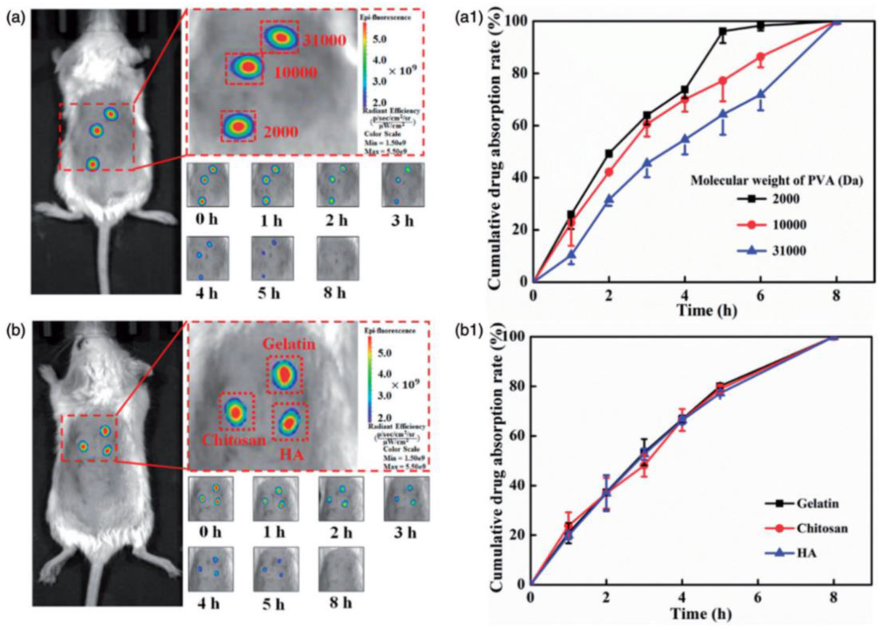 Scipharm 91 00027 g013
