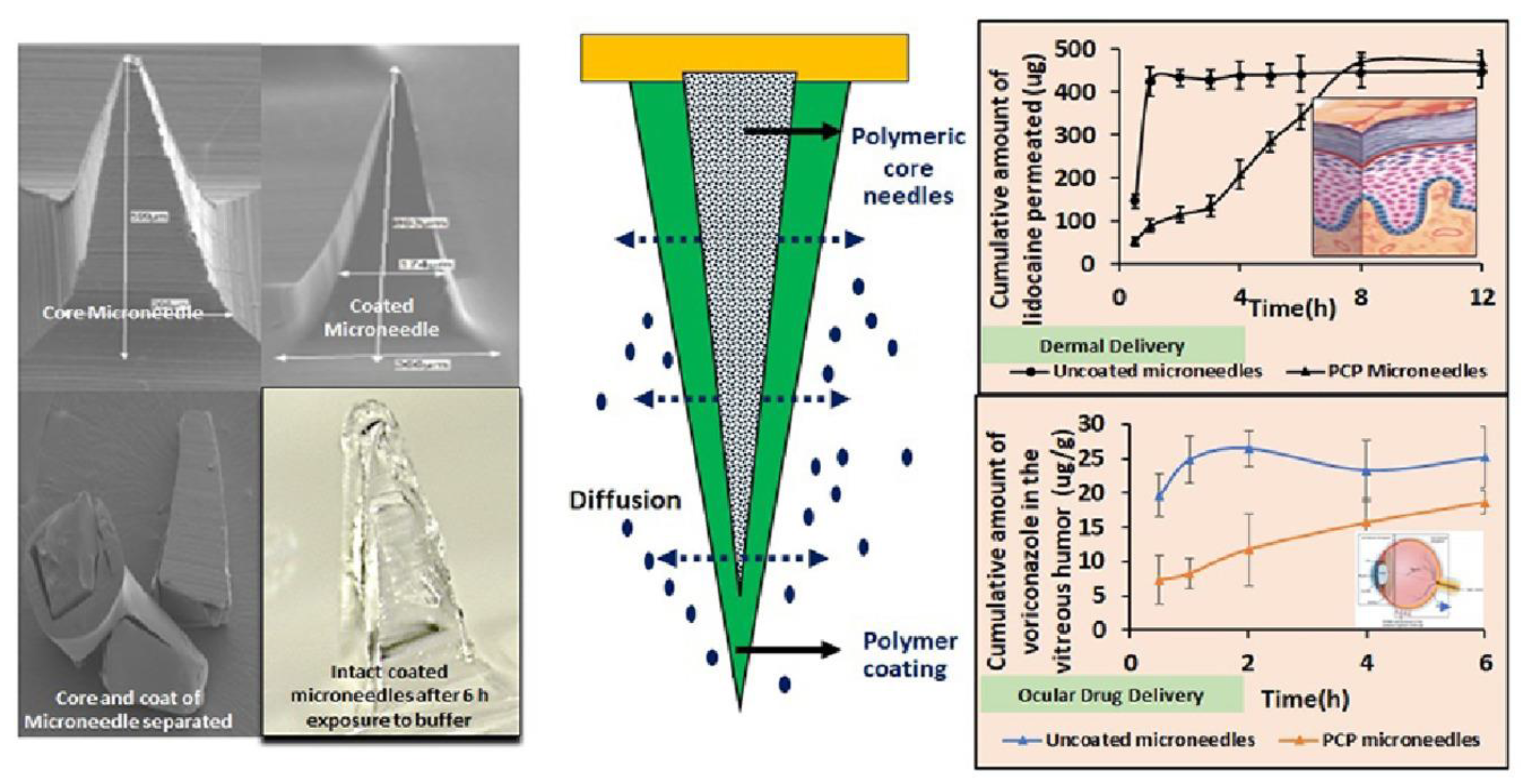 Scipharm 91 00027 g014