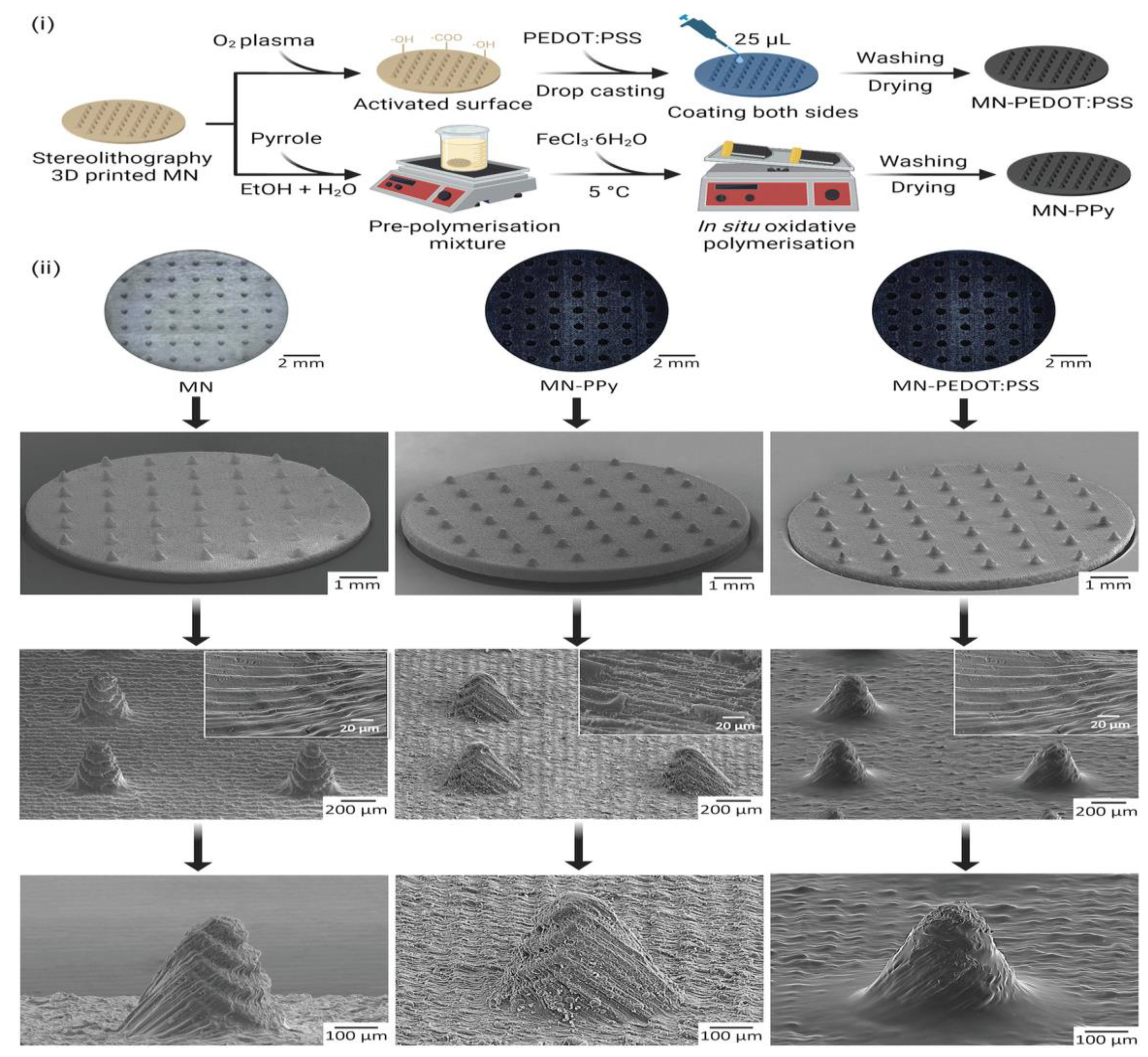 Scipharm 91 00027 g015