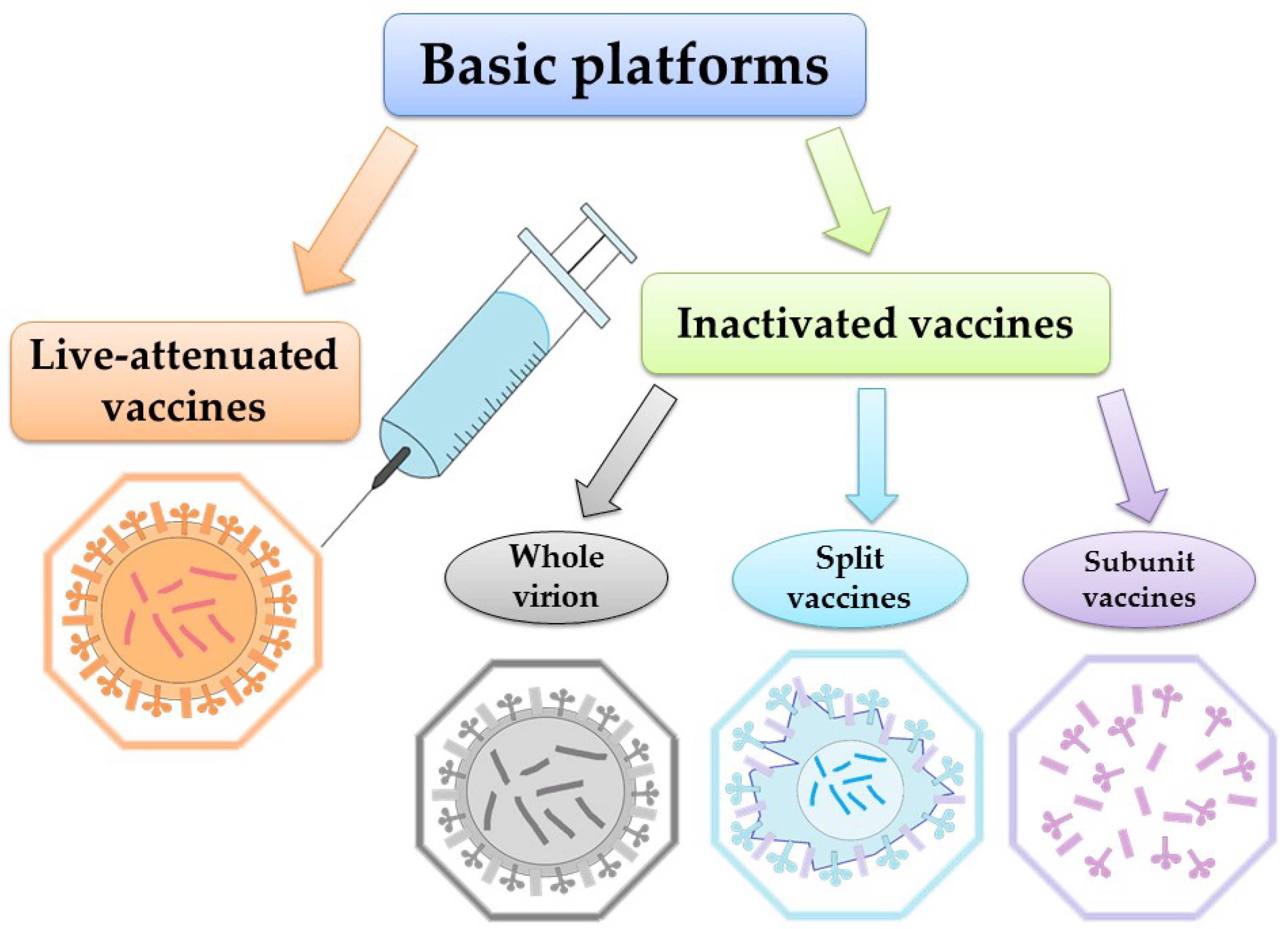 Scipharm 91 00028 g001