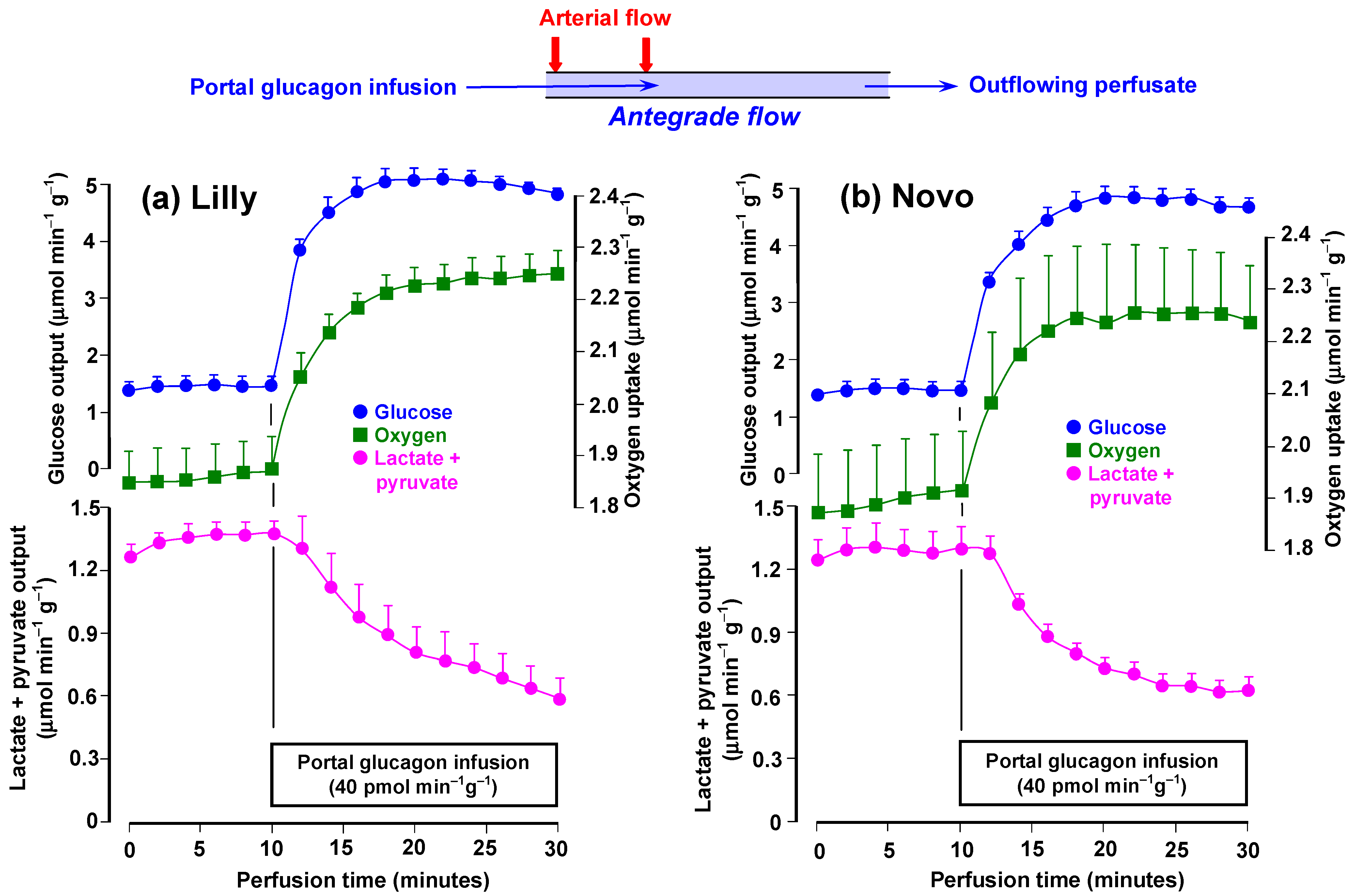 Scipharm 91 00029 g002 Scipharm 91 00029 g002