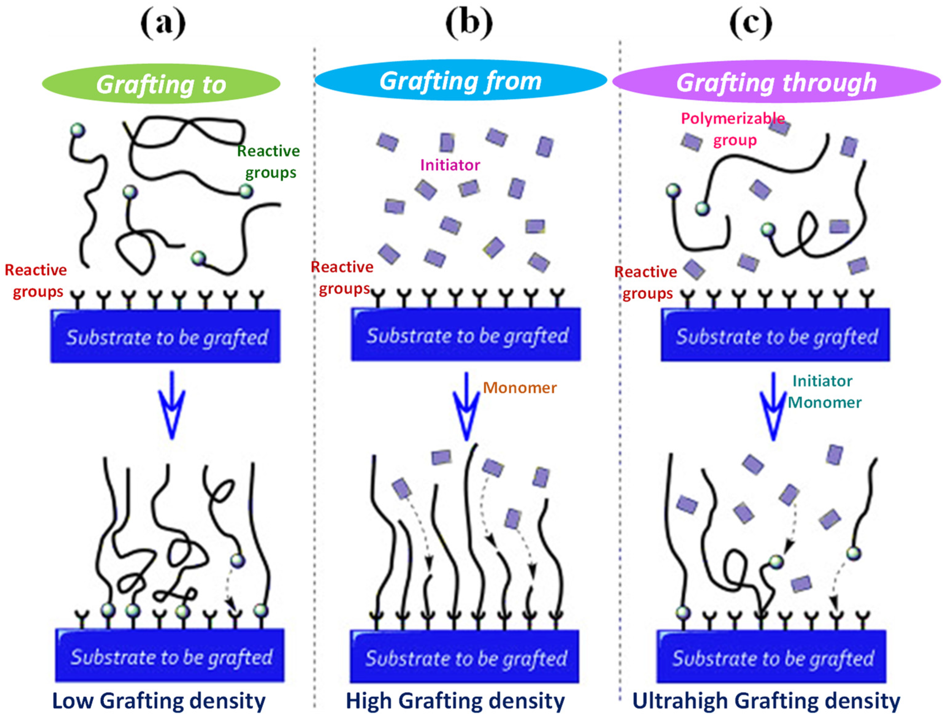Scipharm 91 00032 g002