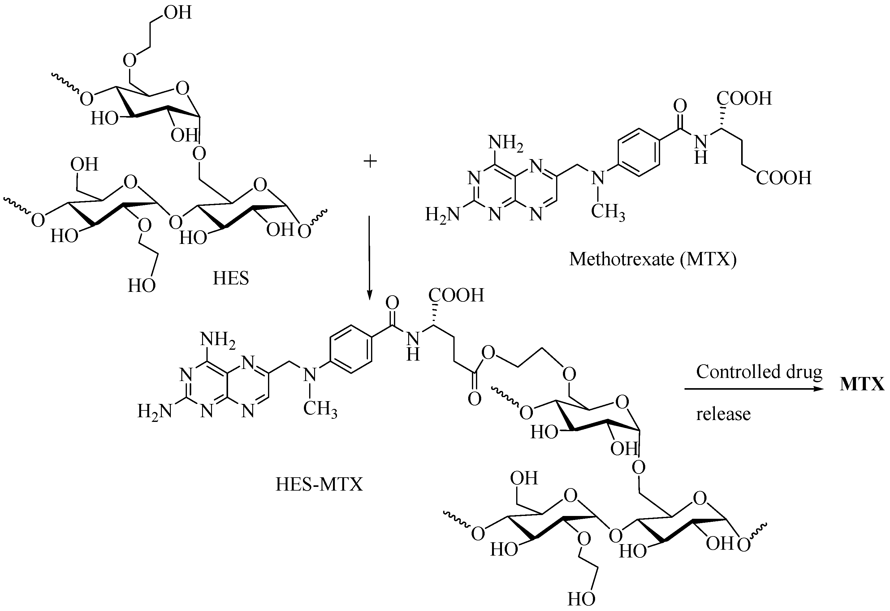 Scipharm 91 00032 g005