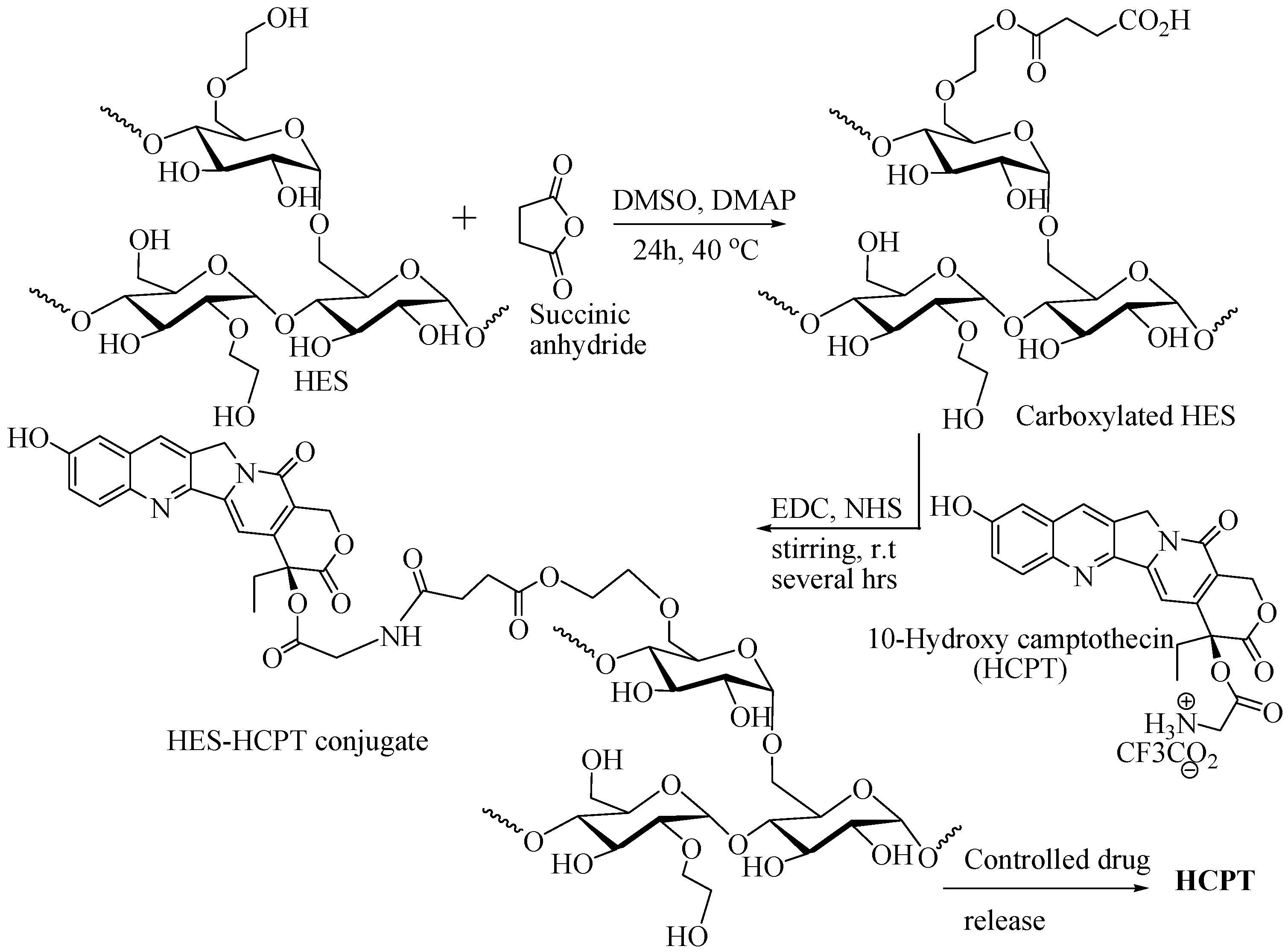 Scipharm 91 00032 g010