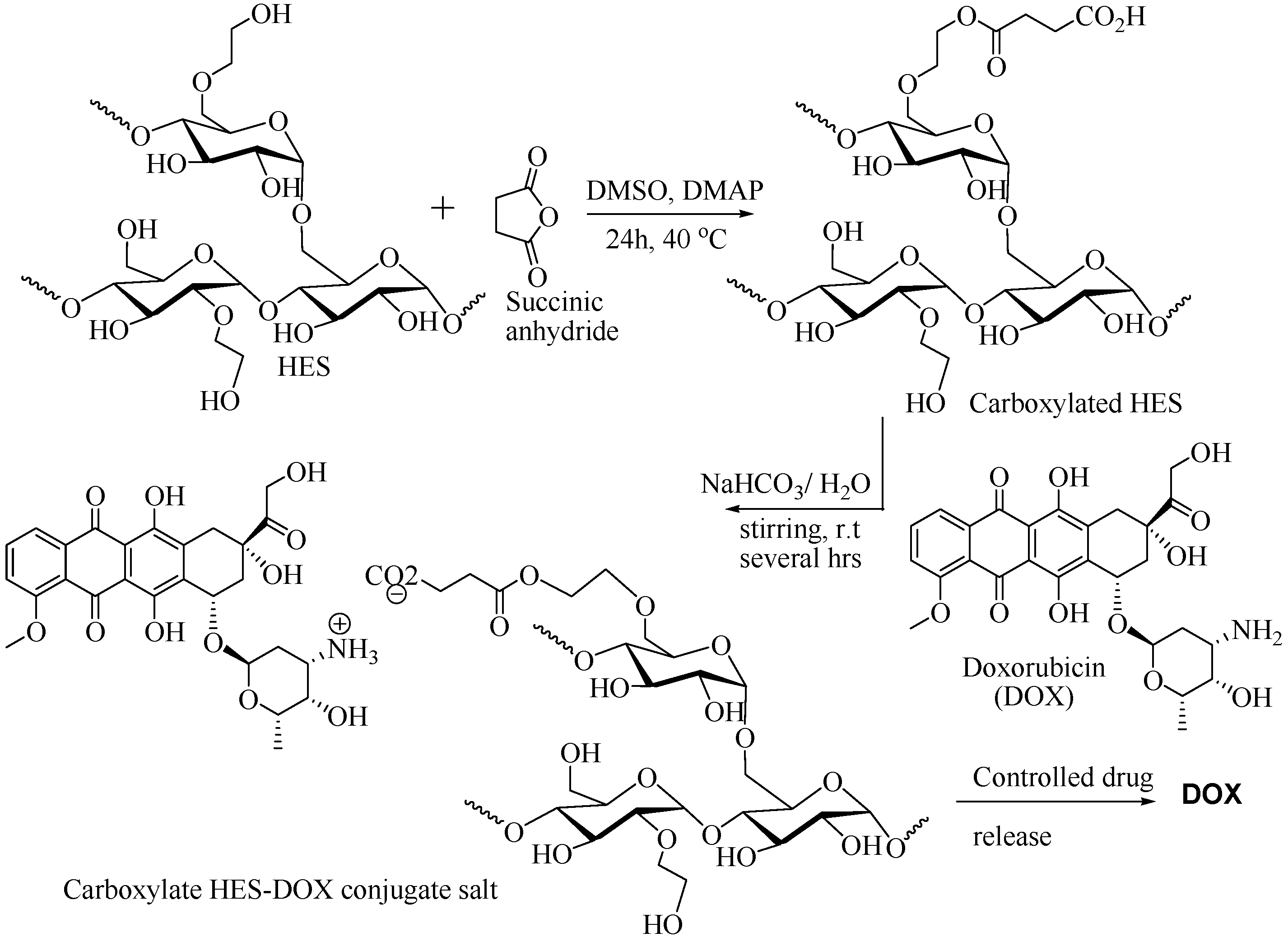 Scipharm 91 00032 g011