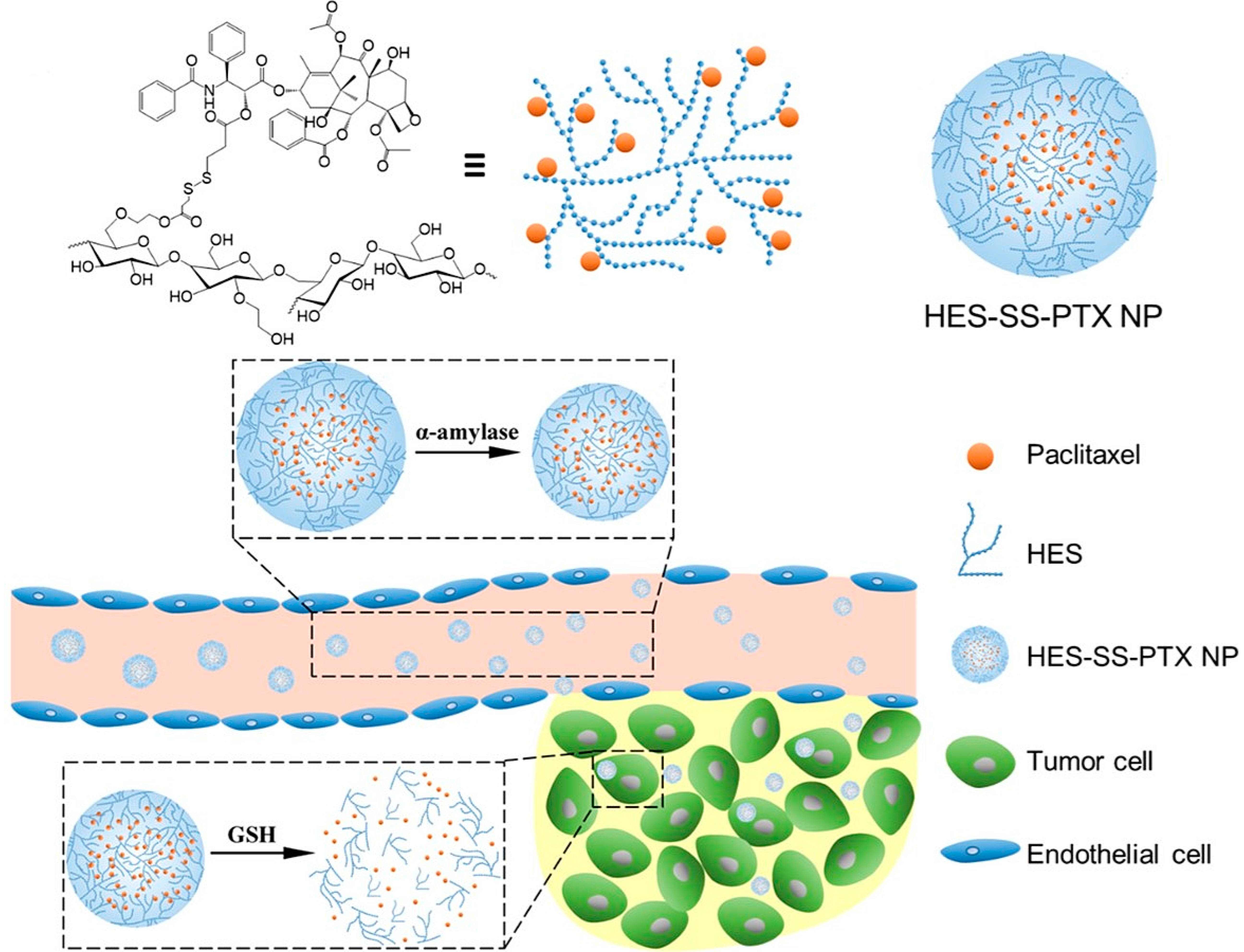 Scipharm 91 00032 g013