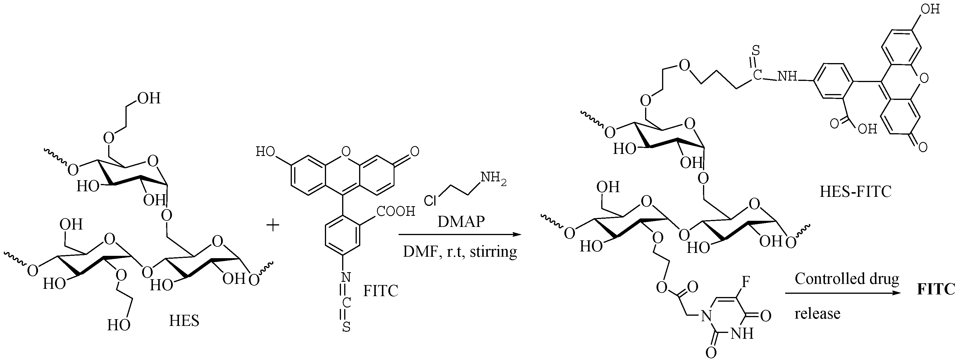 Scipharm 91 00032 g014