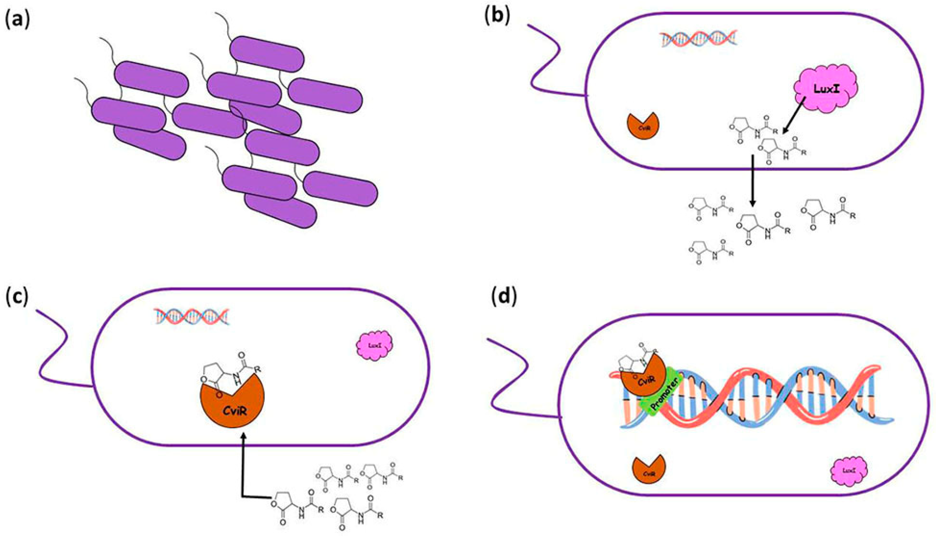 Scipharm 91 00033 g001