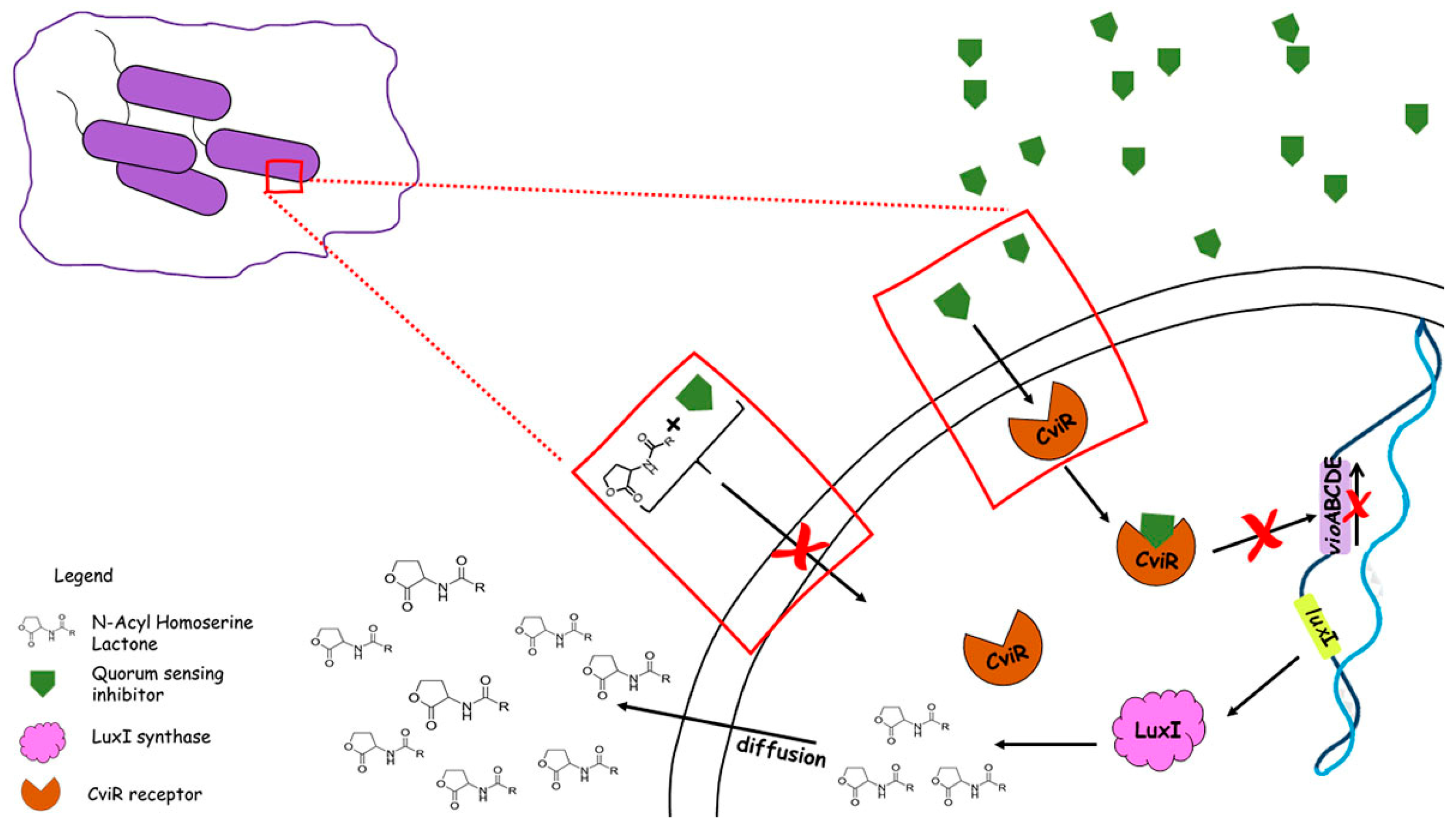 Scipharm 91 00033 g002