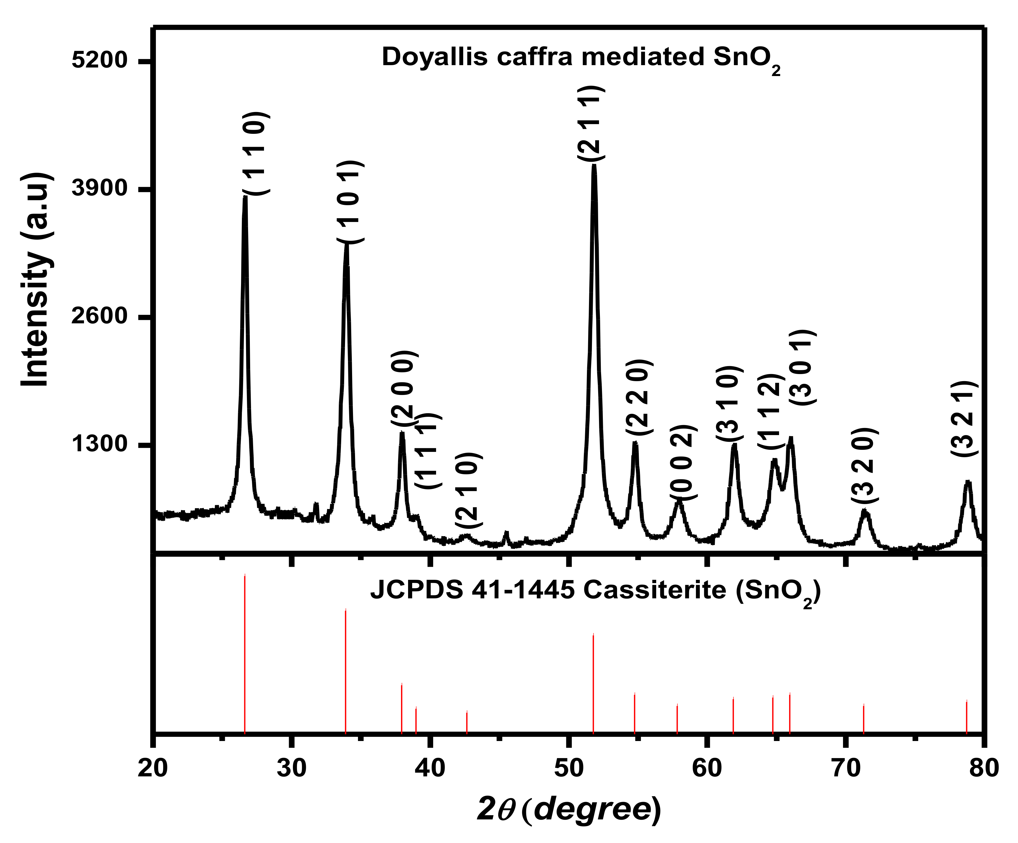 Scipharm 91 00034 g002