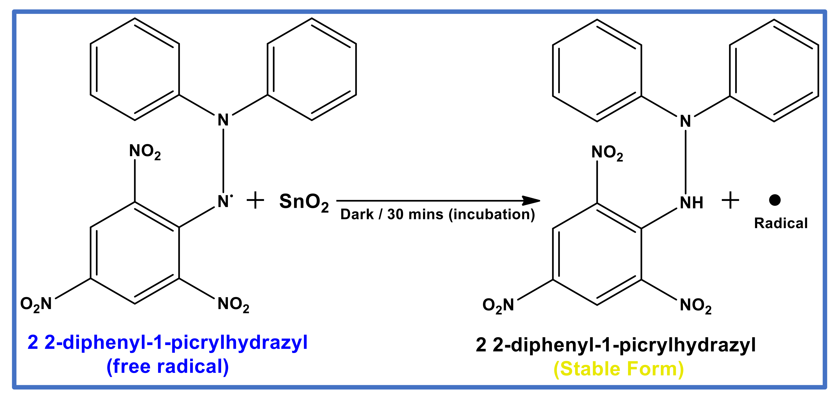 Scipharm 91 00034 g005