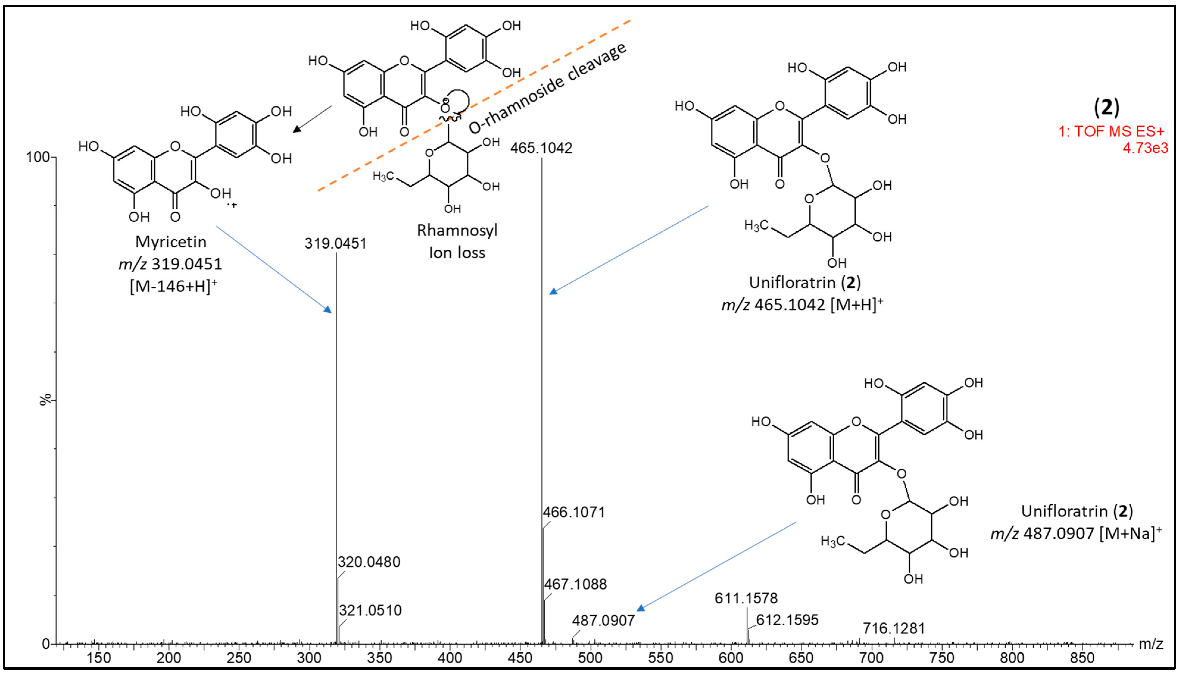 Scipharm 91 00042 g003