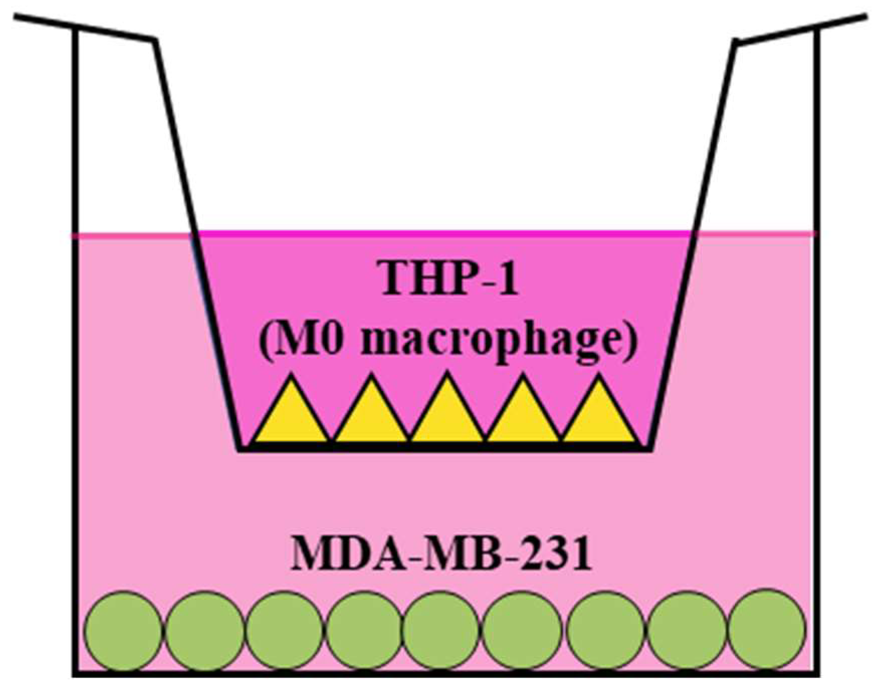 Scipharm 91 00048 g001