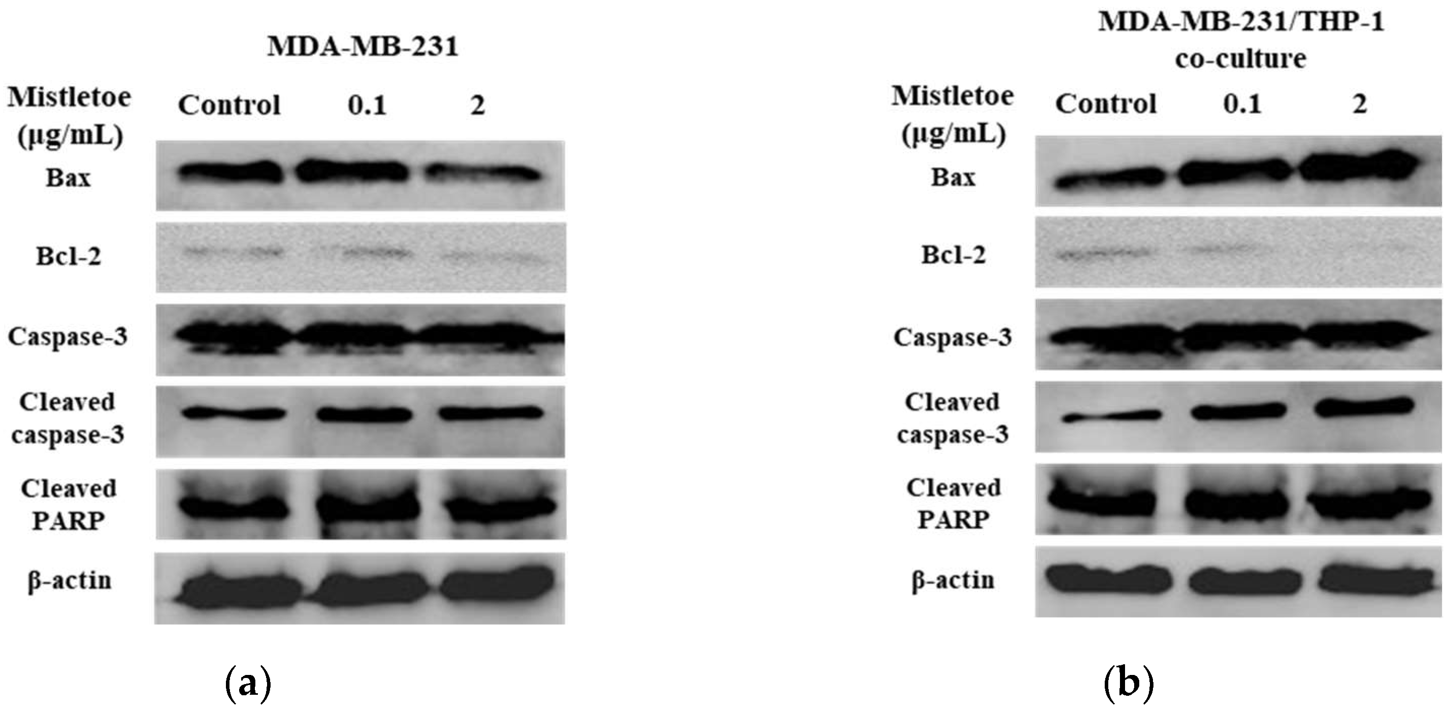 Scipharm 91 00048 g007a