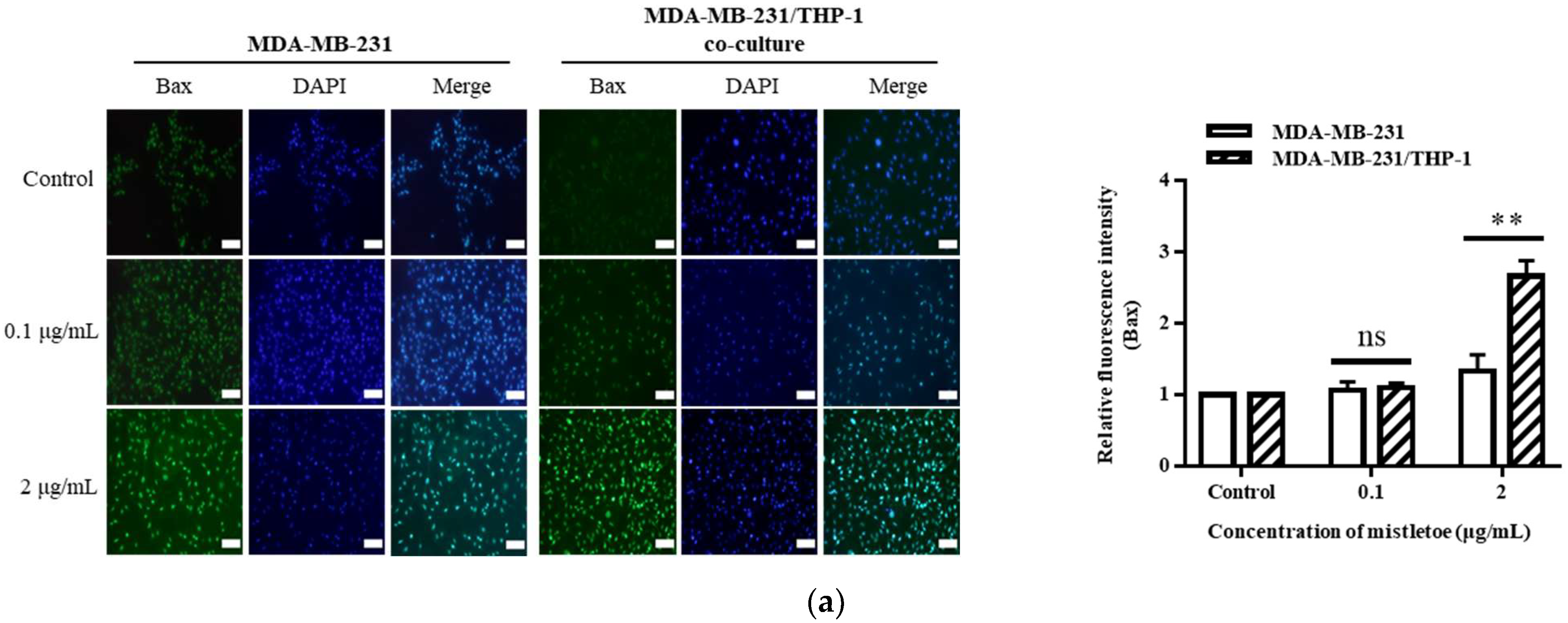 Scipharm 91 00048 g008a