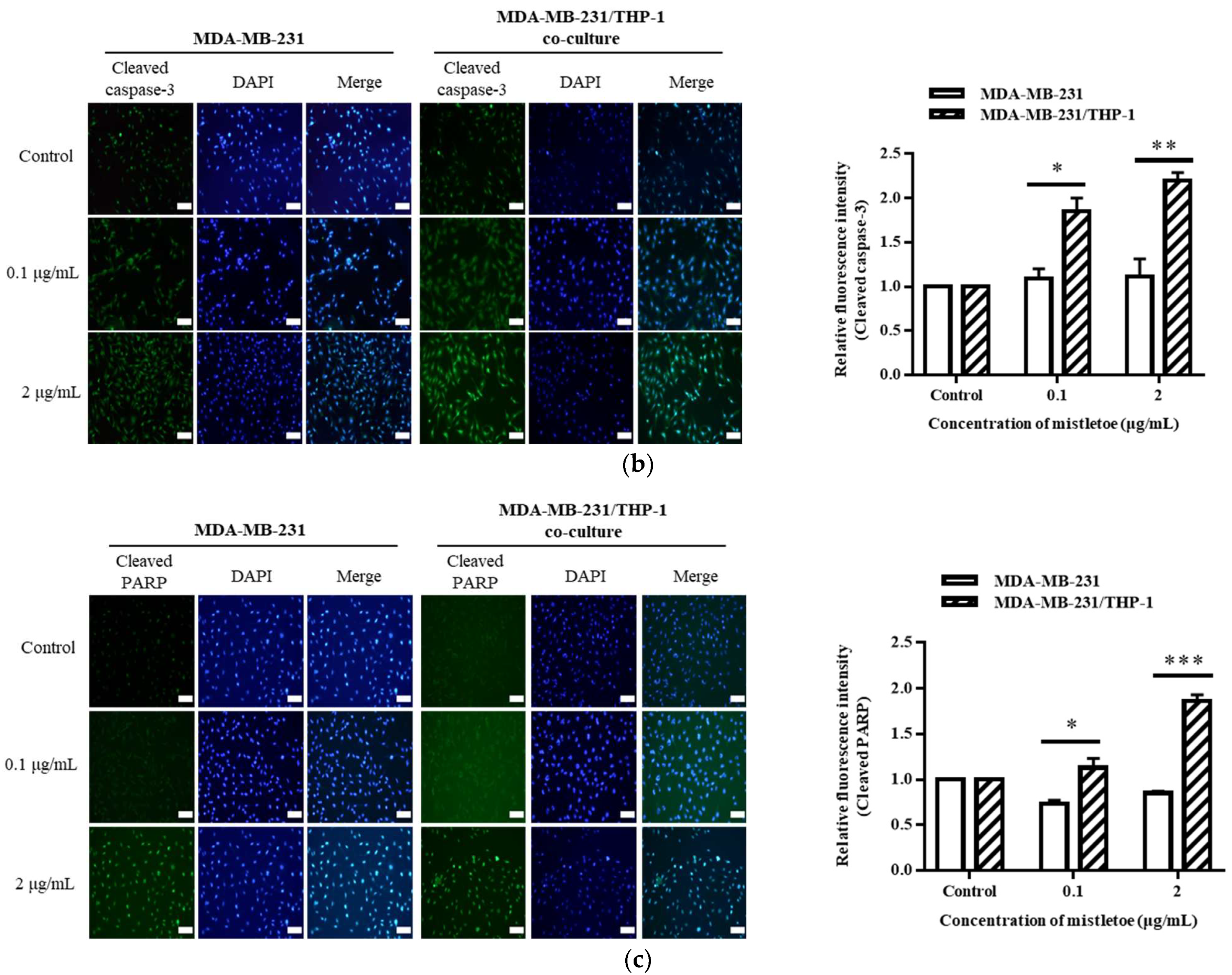 Scipharm 91 00048 g008b