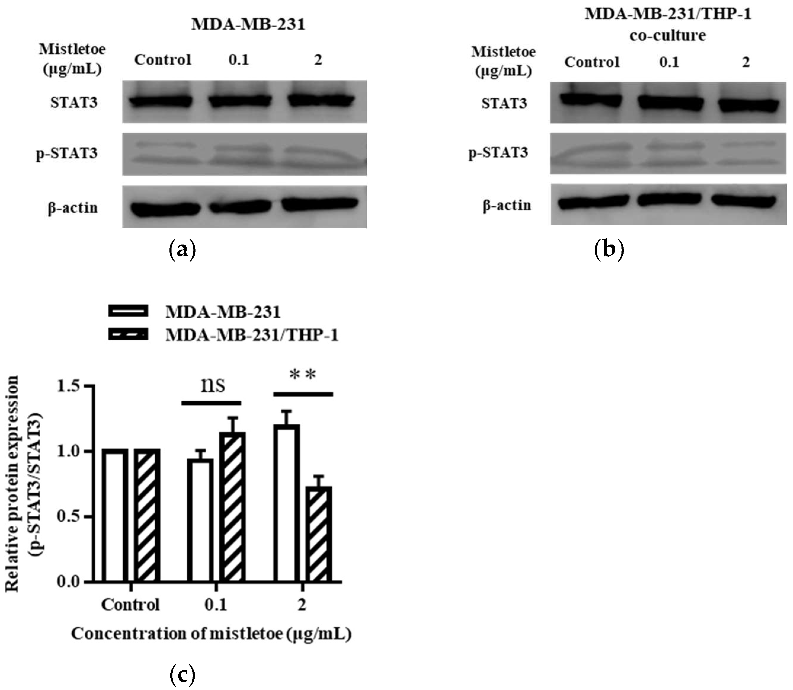 Scipharm 91 00048 g009