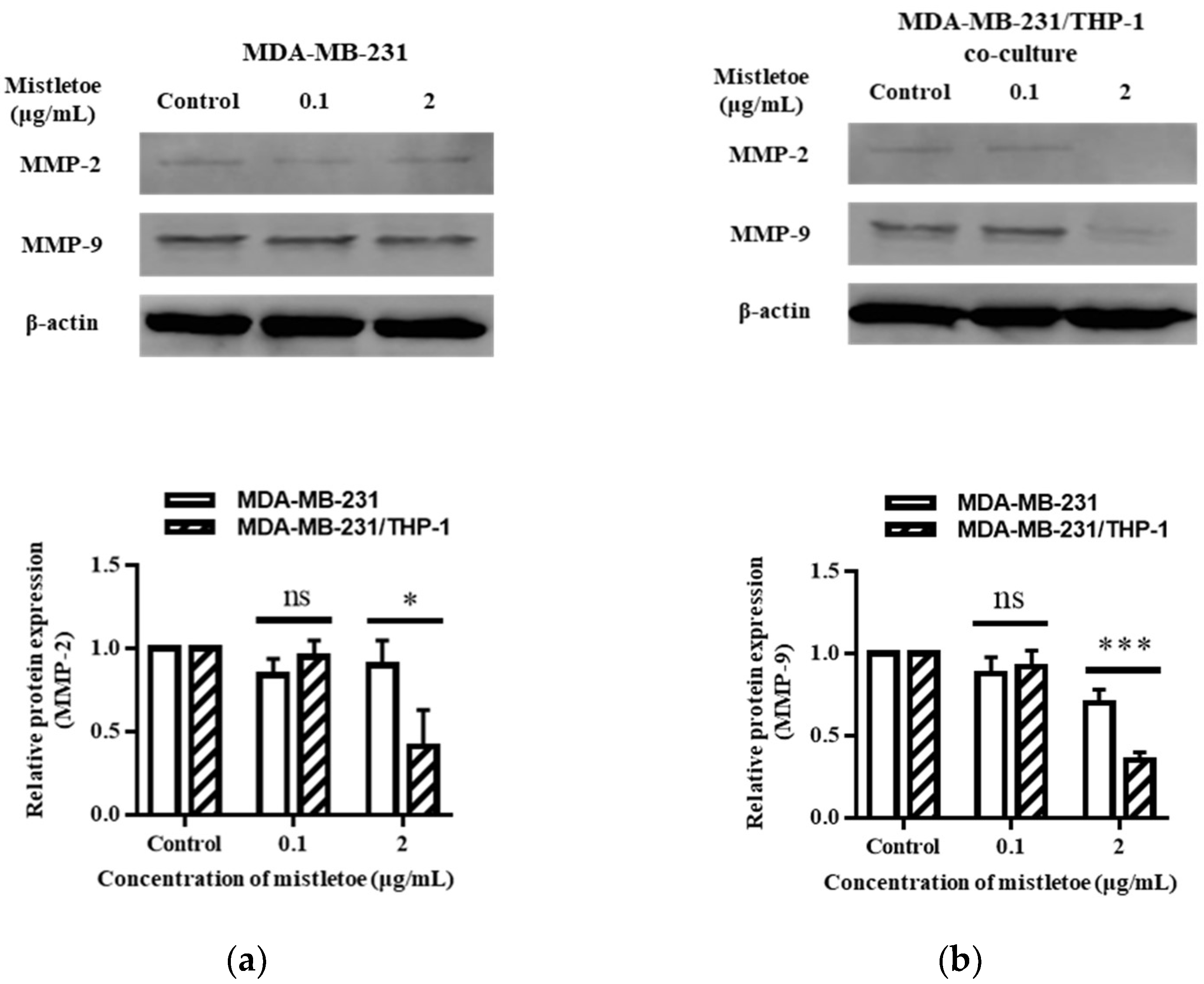 Scipharm 91 00048 g010