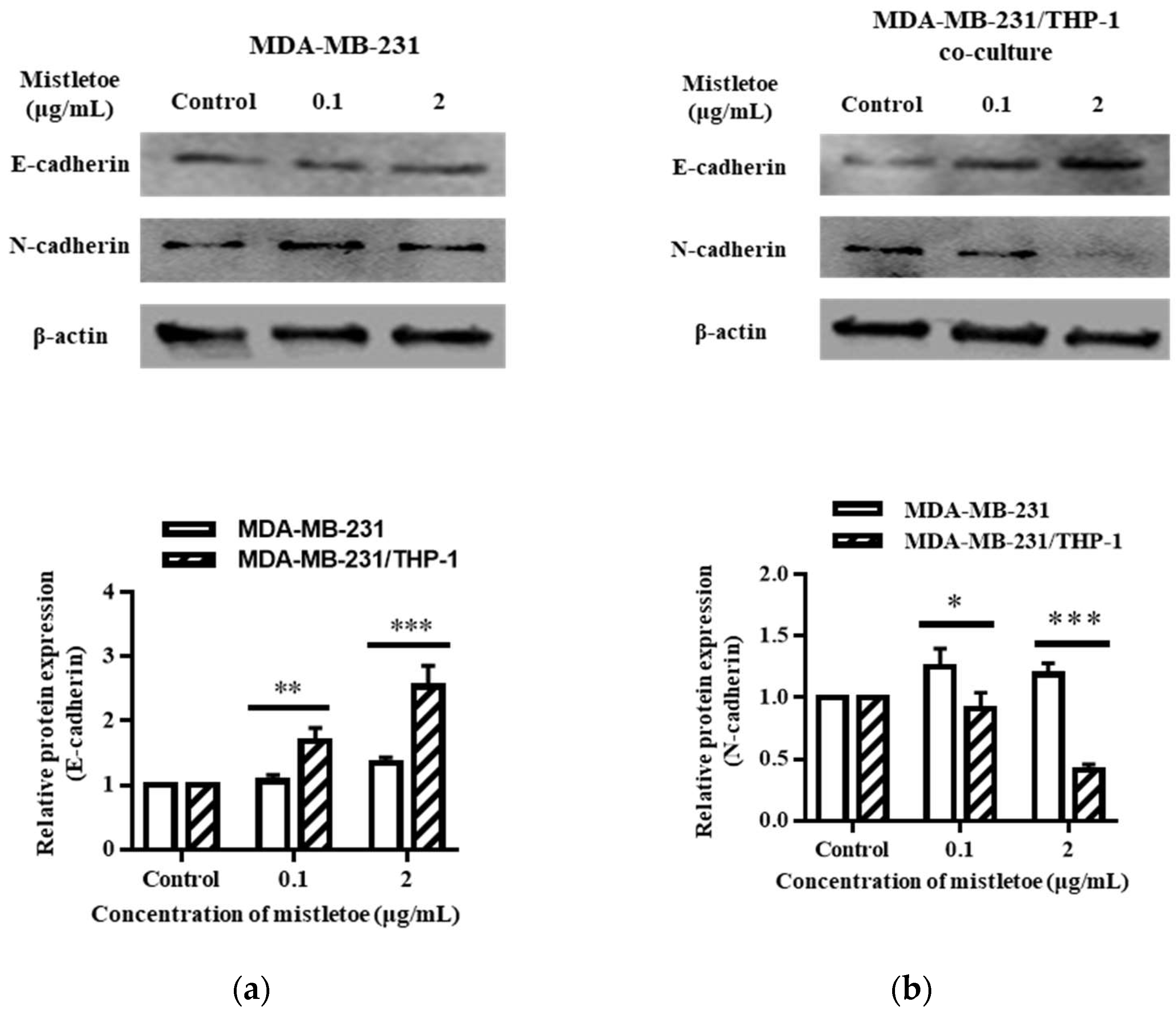 Scipharm 91 00048 g012