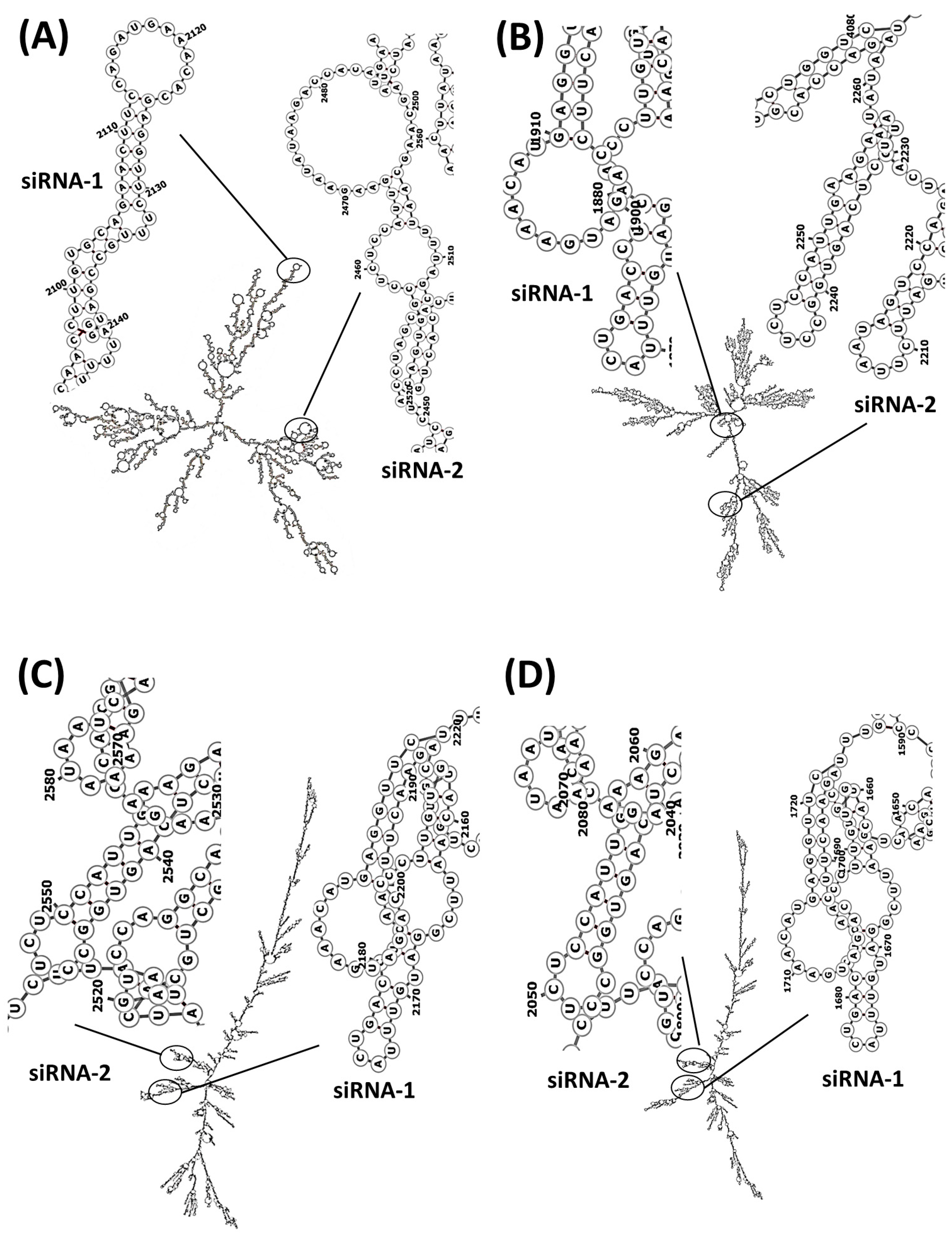 Scipharm 91 00052 g003