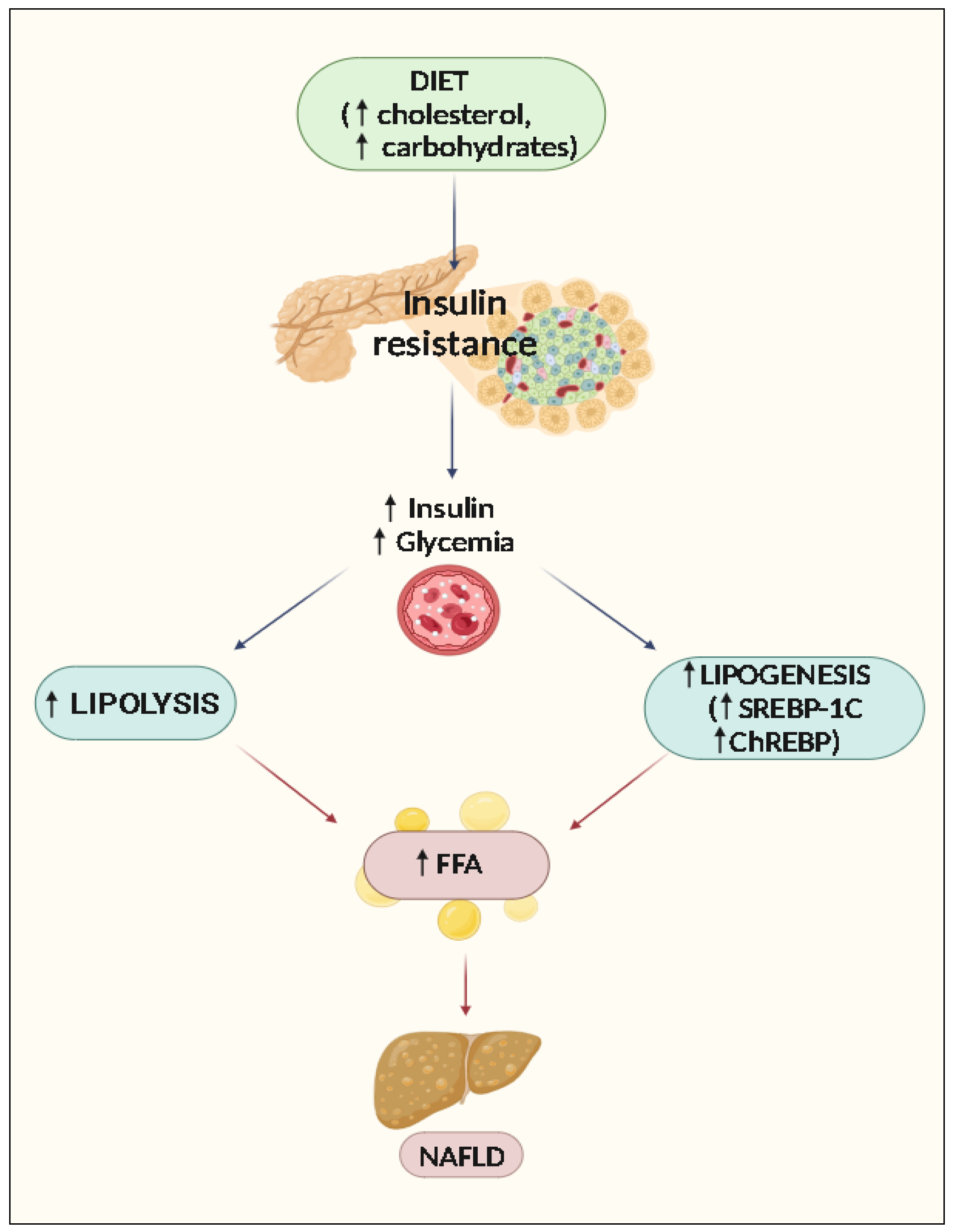 Scipharm 91 00053 g001