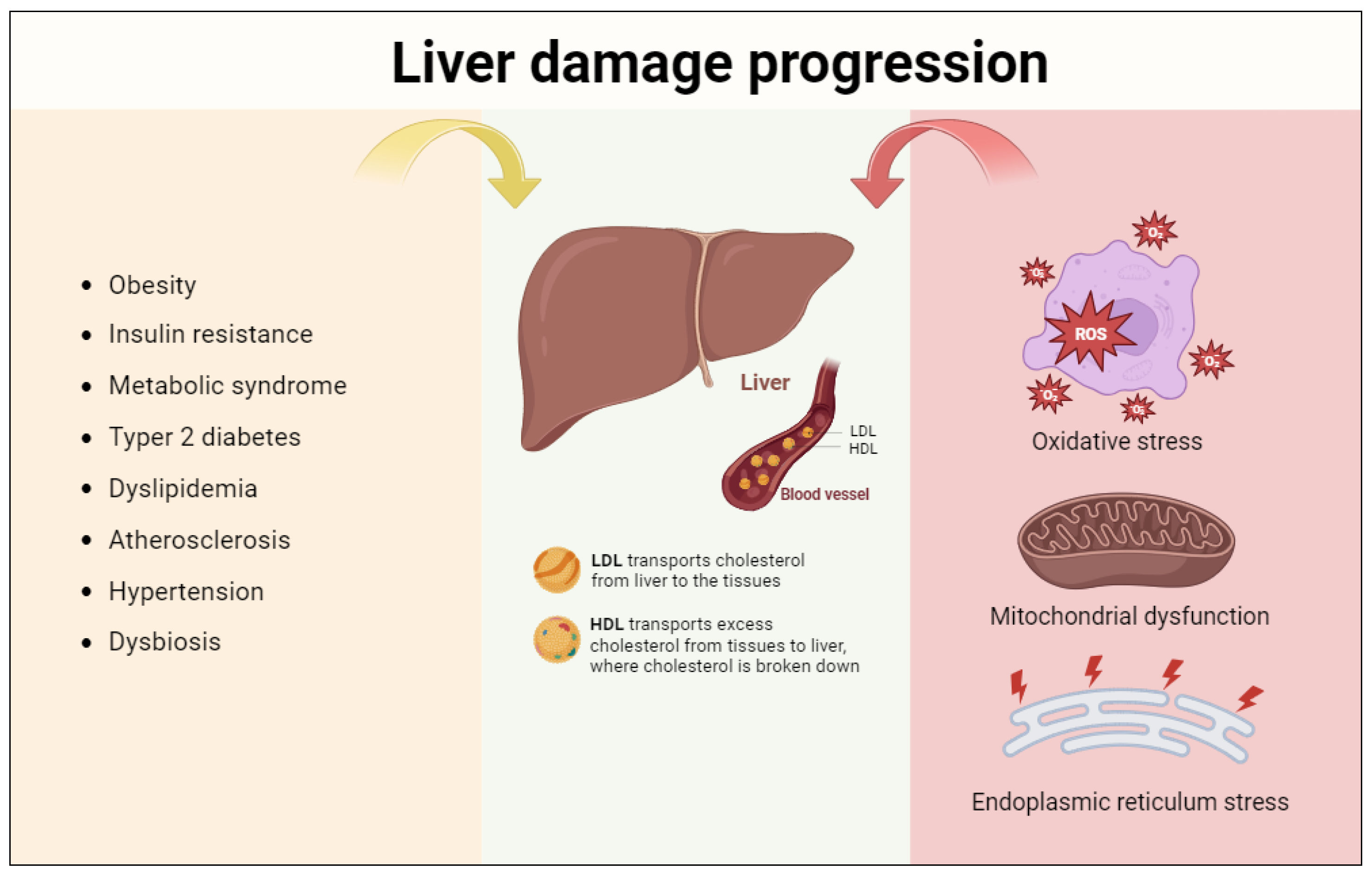 Scipharm 91 00053 g002