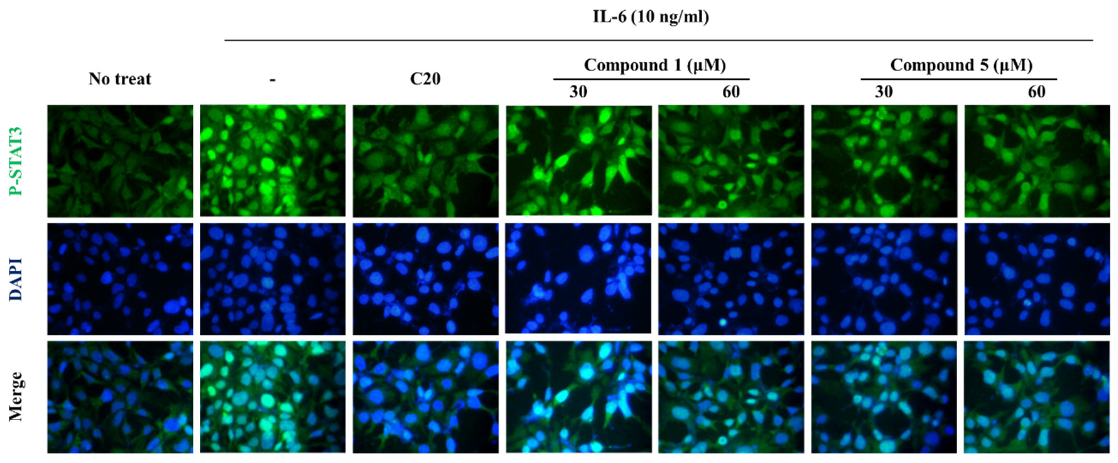 Scipharm 91 00056 g004