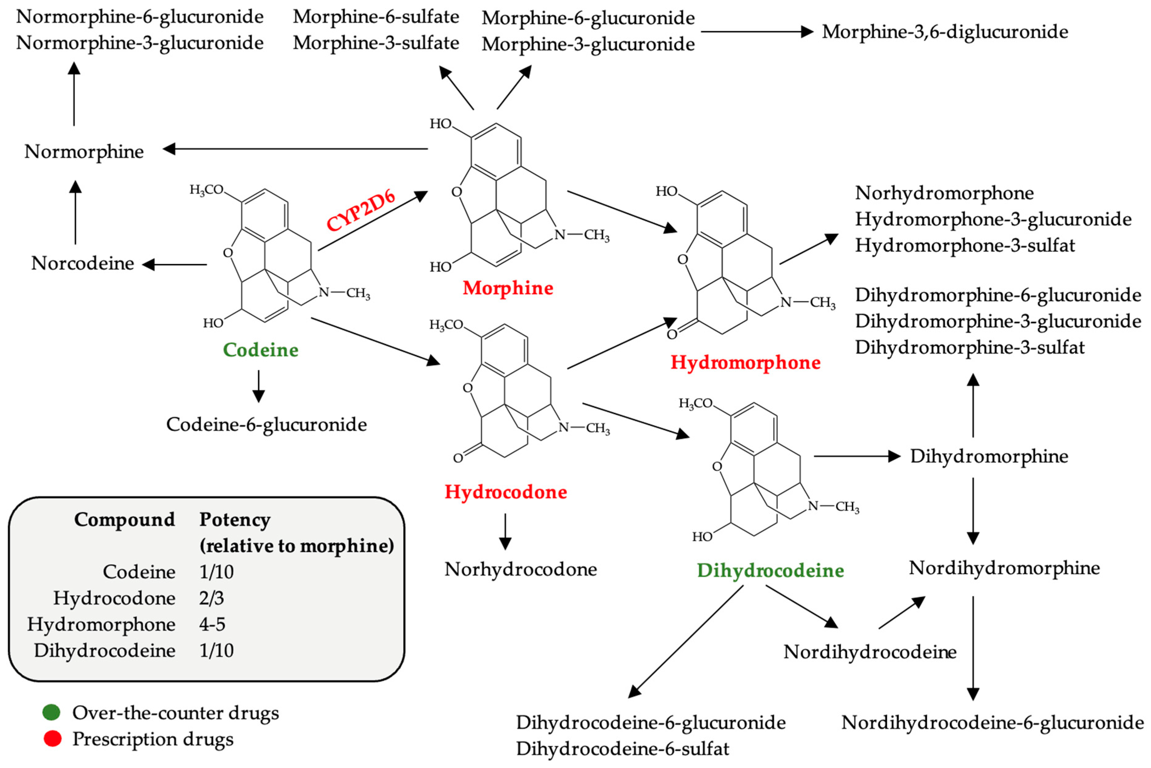 Scipharm 92 00007 g001