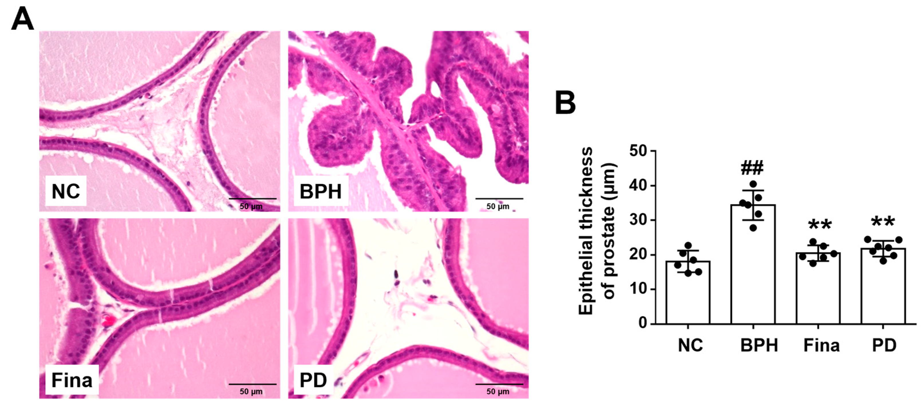 Scipharm 92 00013 g003