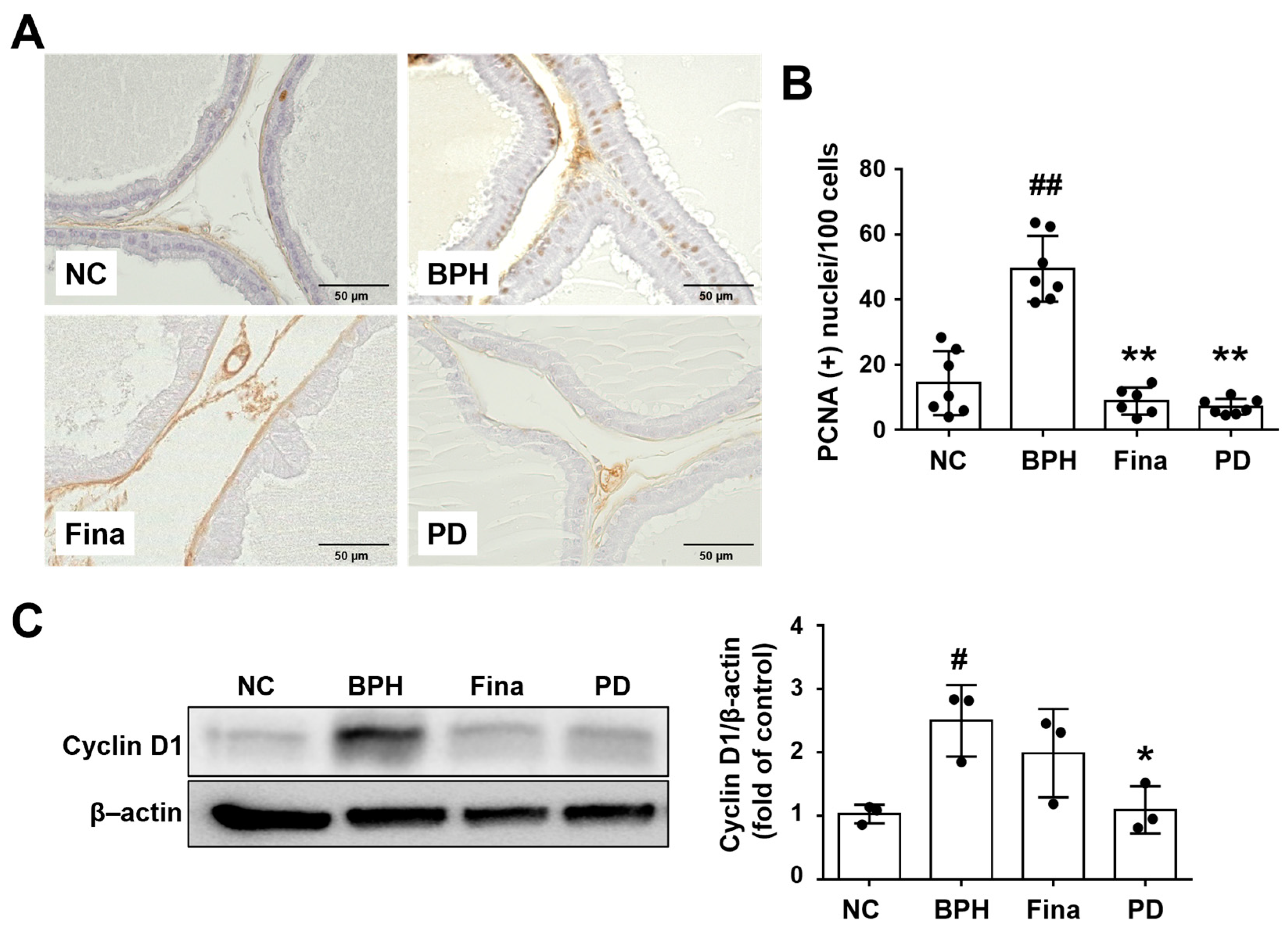 Scipharm 92 00013 g004