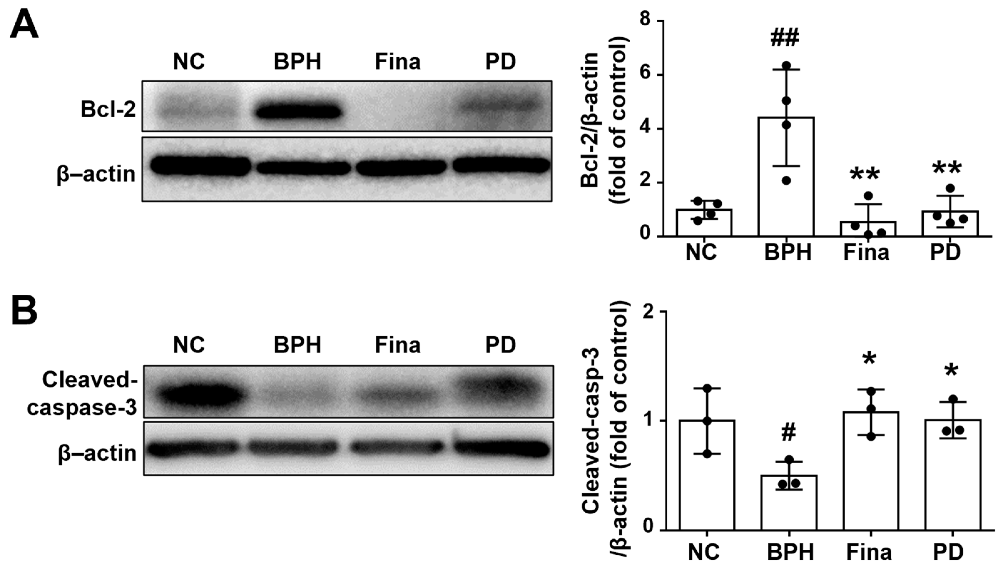 Scipharm 92 00013 g005