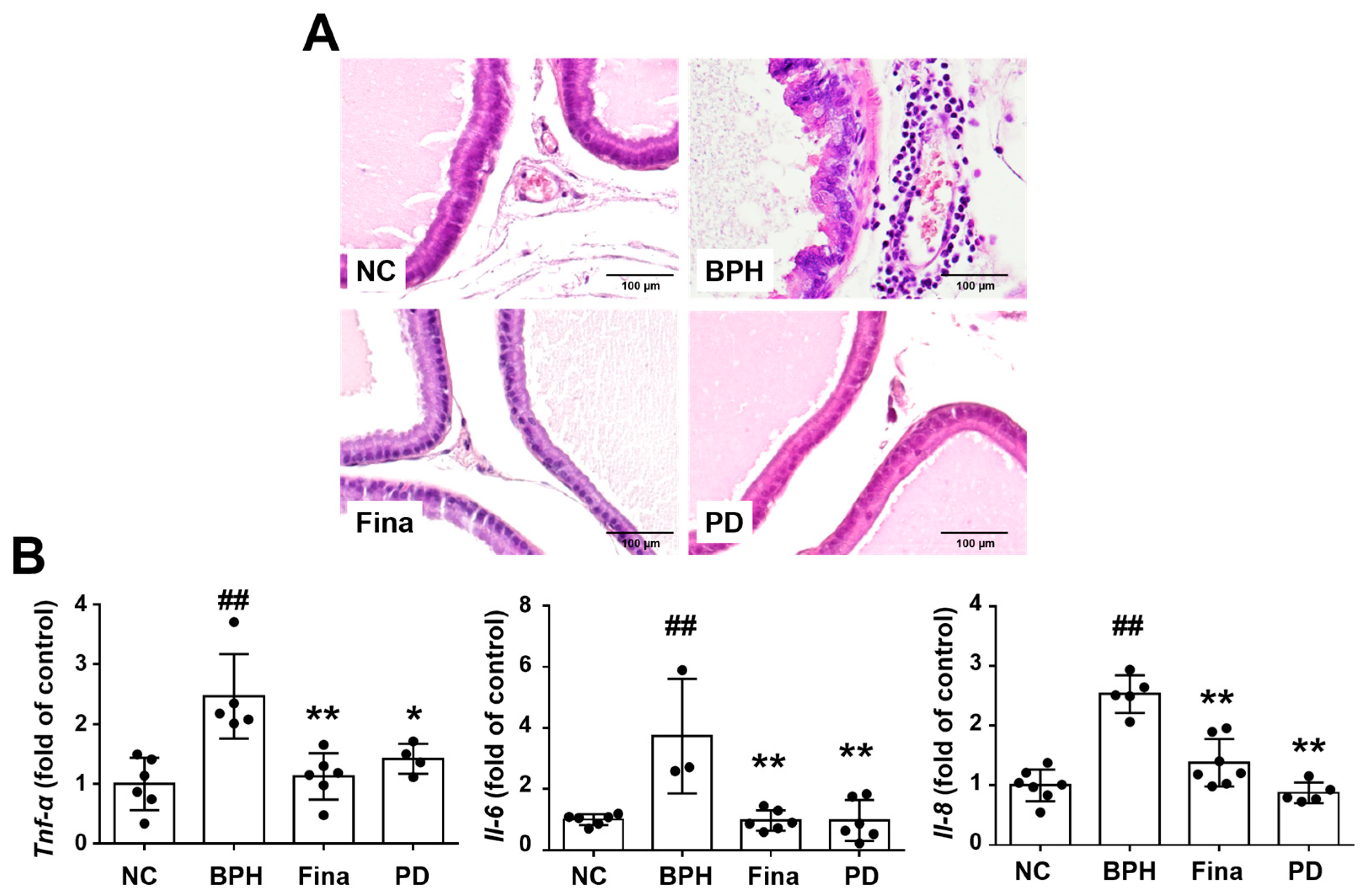 Scipharm 92 00013 g007