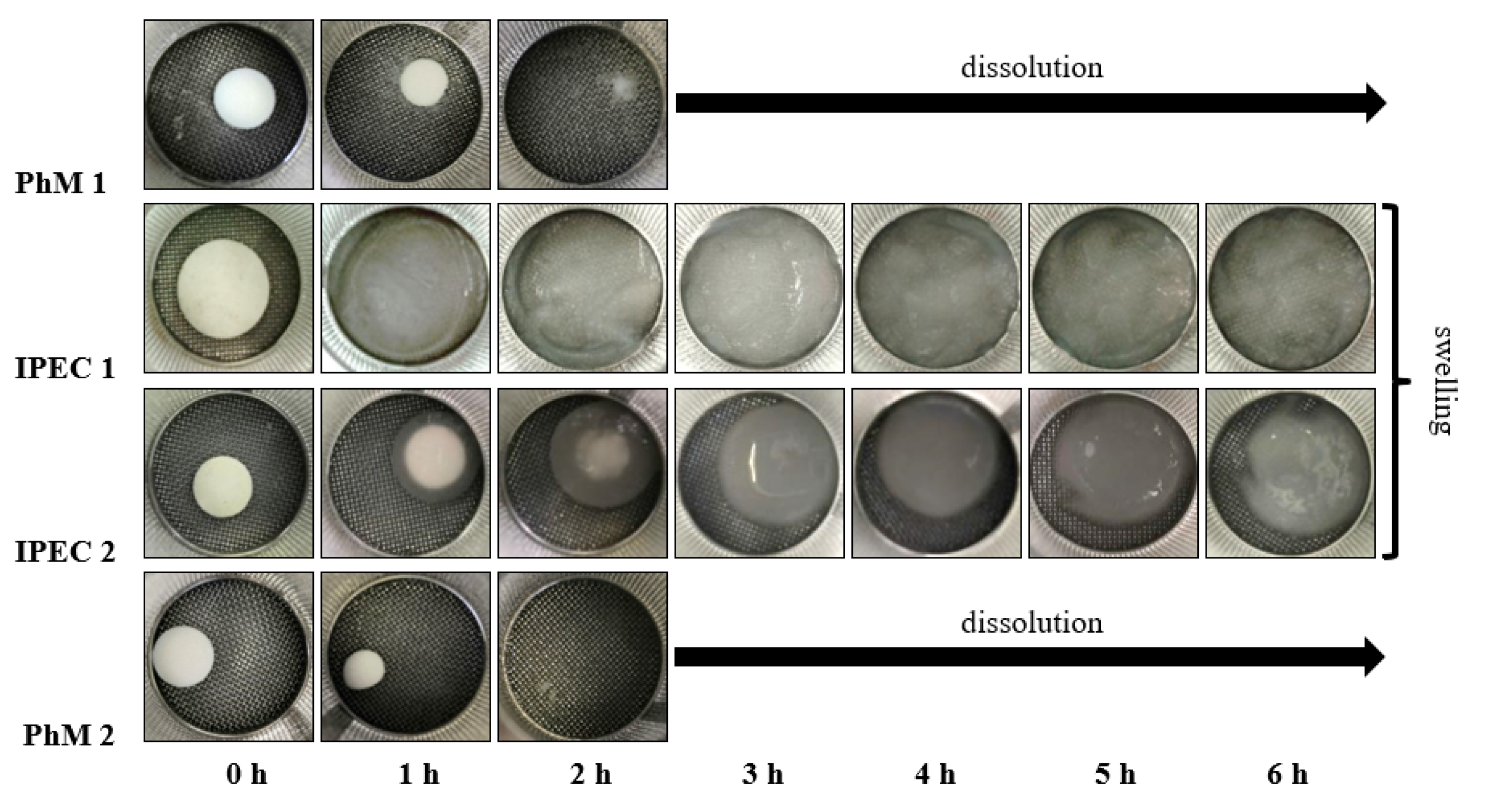 Scipharm 92 00014 g001