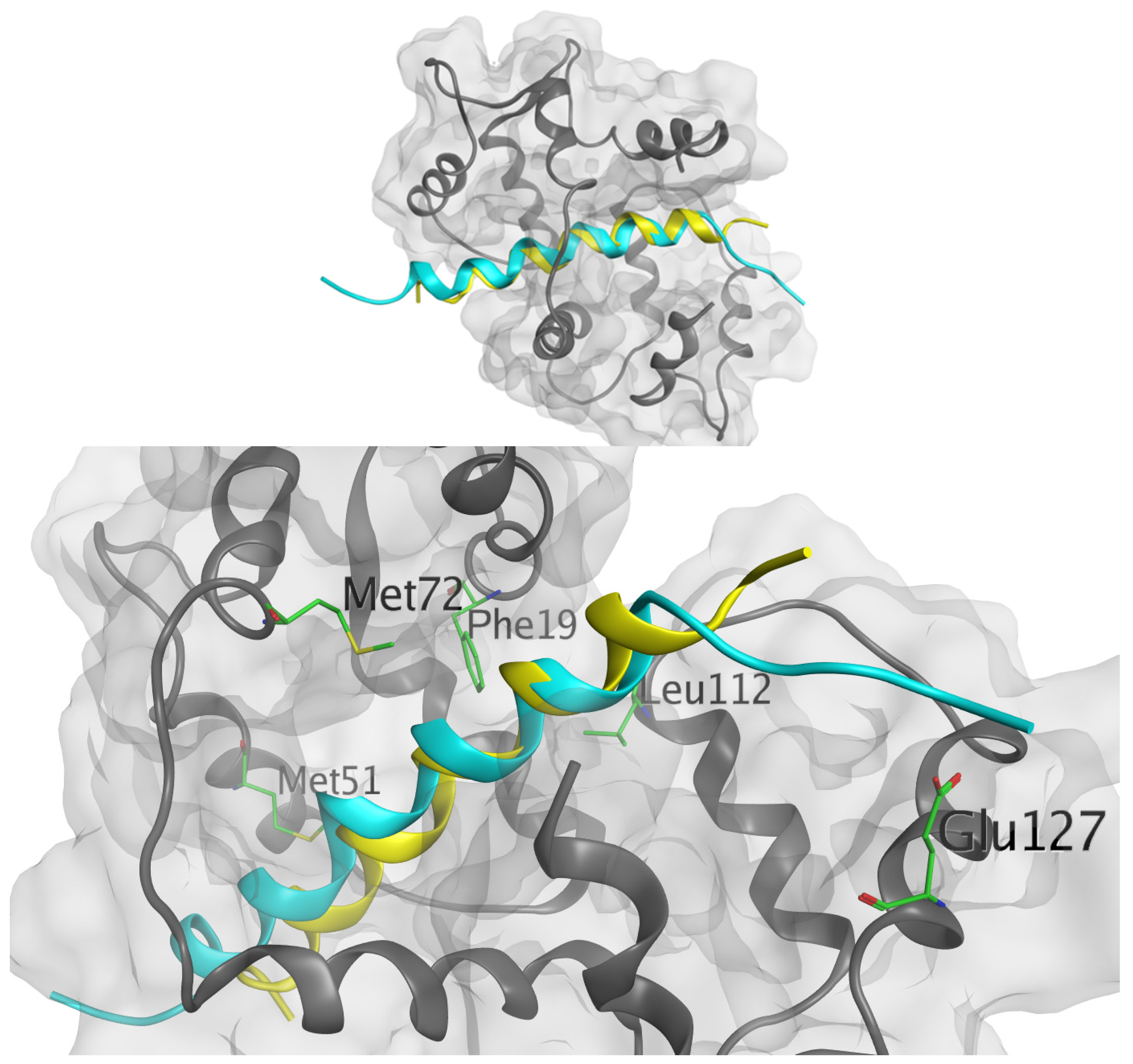 Scipharm 92 00017 g002