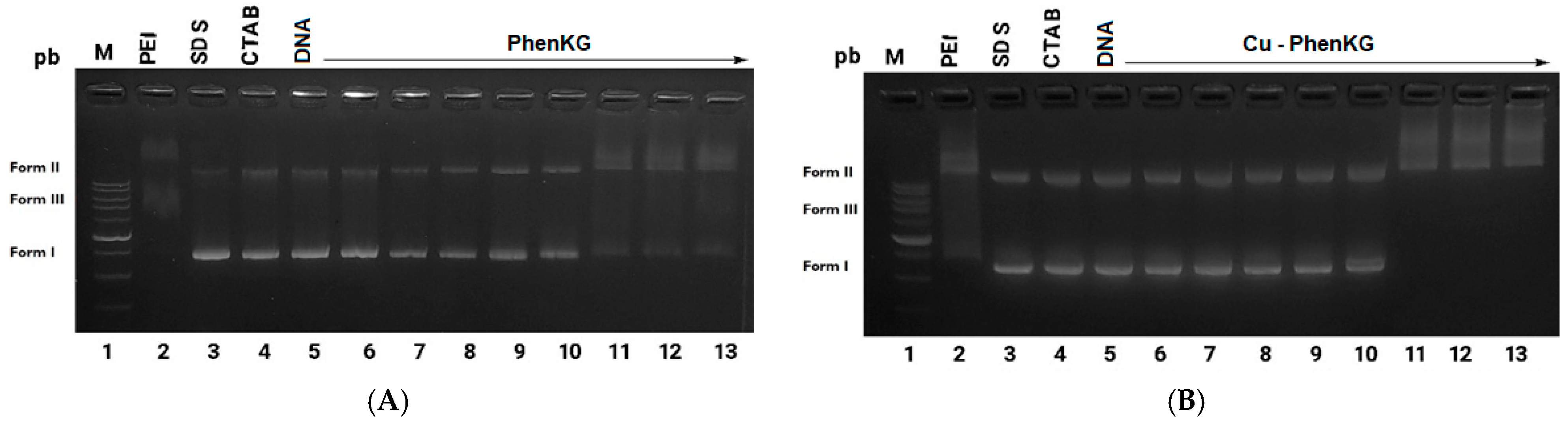 Scipharm 92 00021 g003