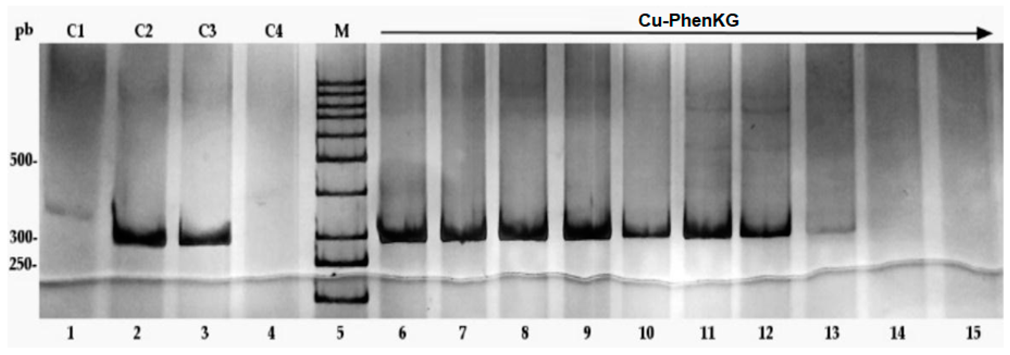 Scipharm 92 00021 g005
