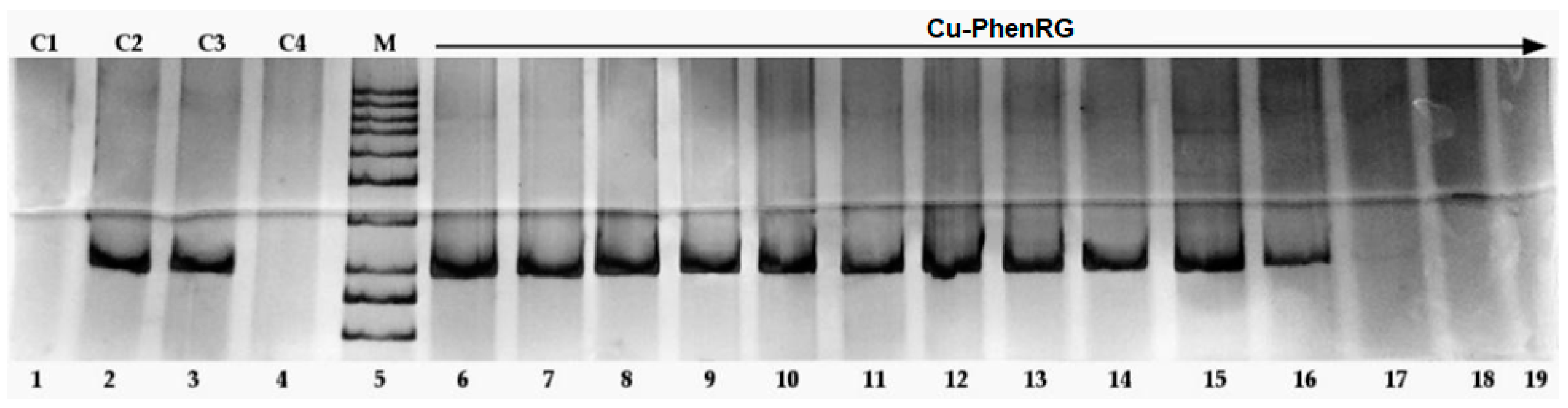 Scipharm 92 00021 g007