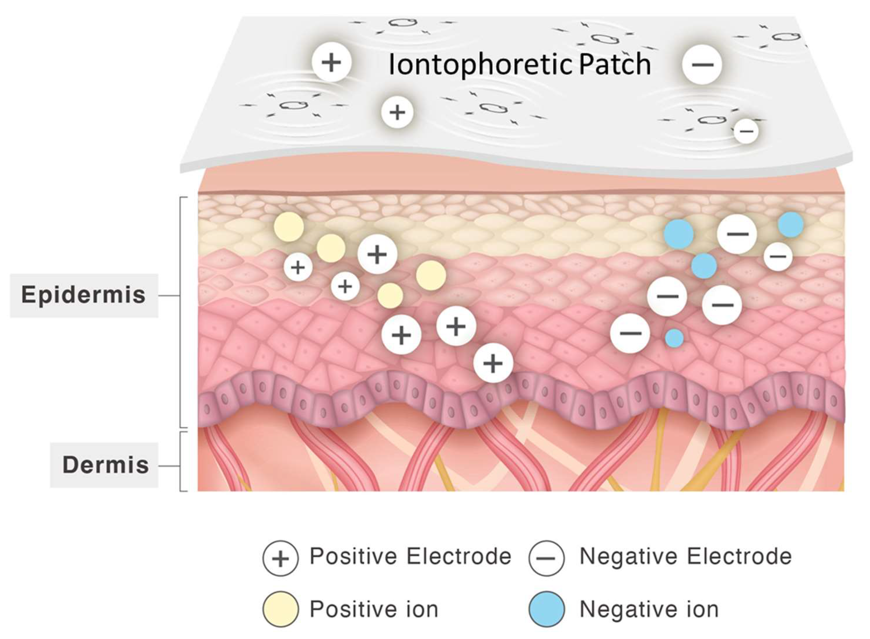 Scipharm 92 00026 g001